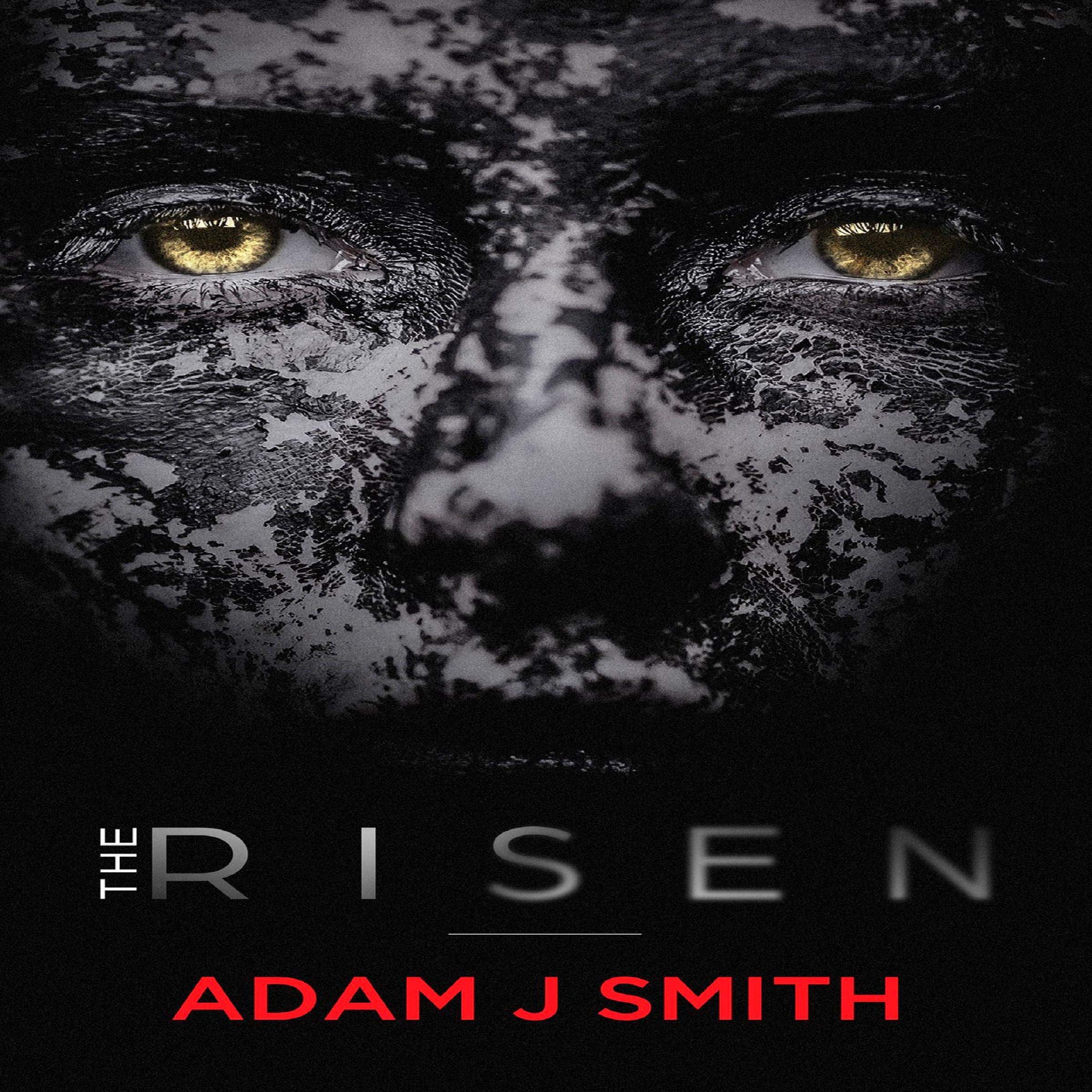 Cover art for The Risen