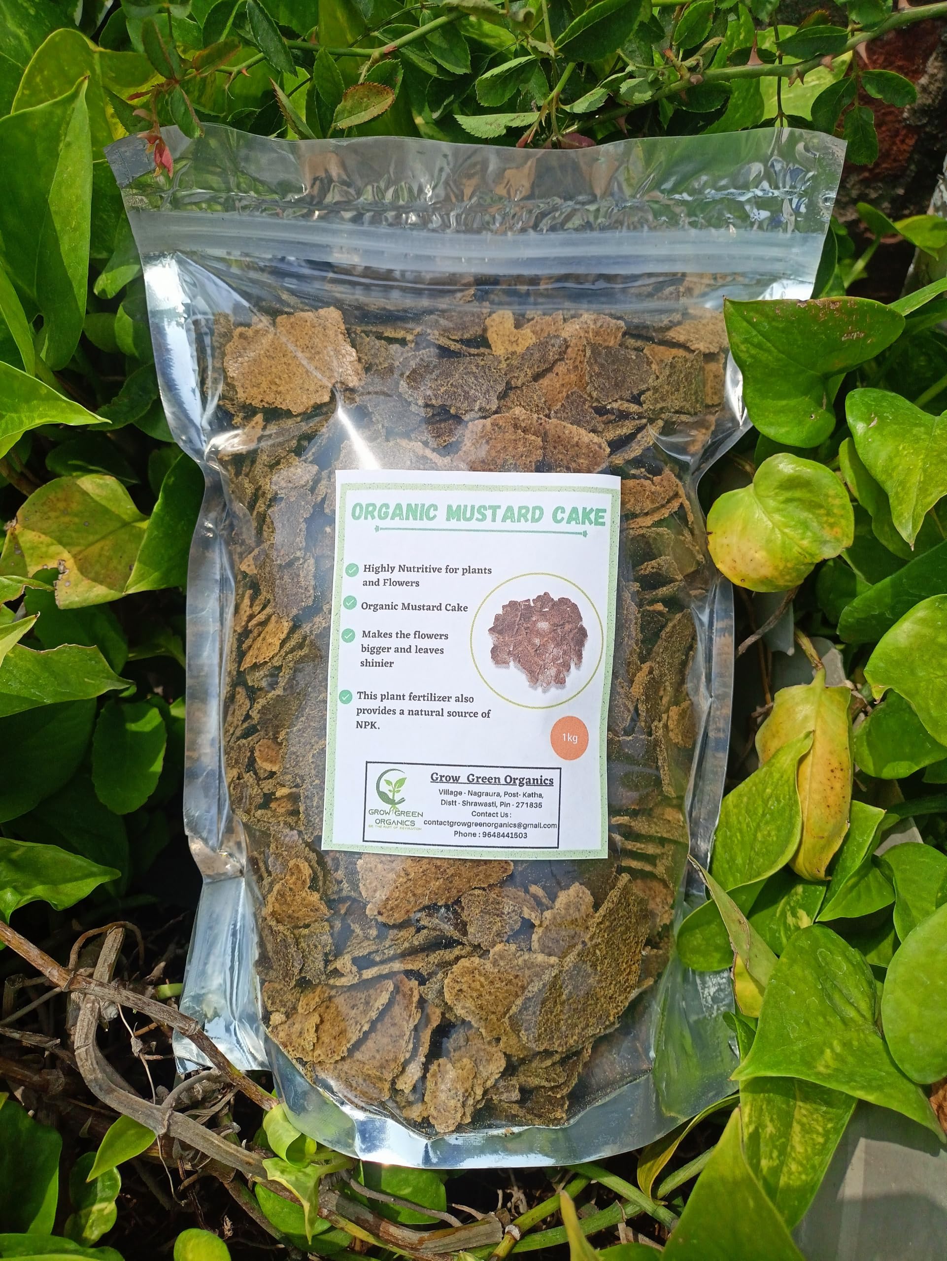 Organic Mustard Cake Fertilizer for Plants- Sarso ki Khali - Pack of 1kg-image-40