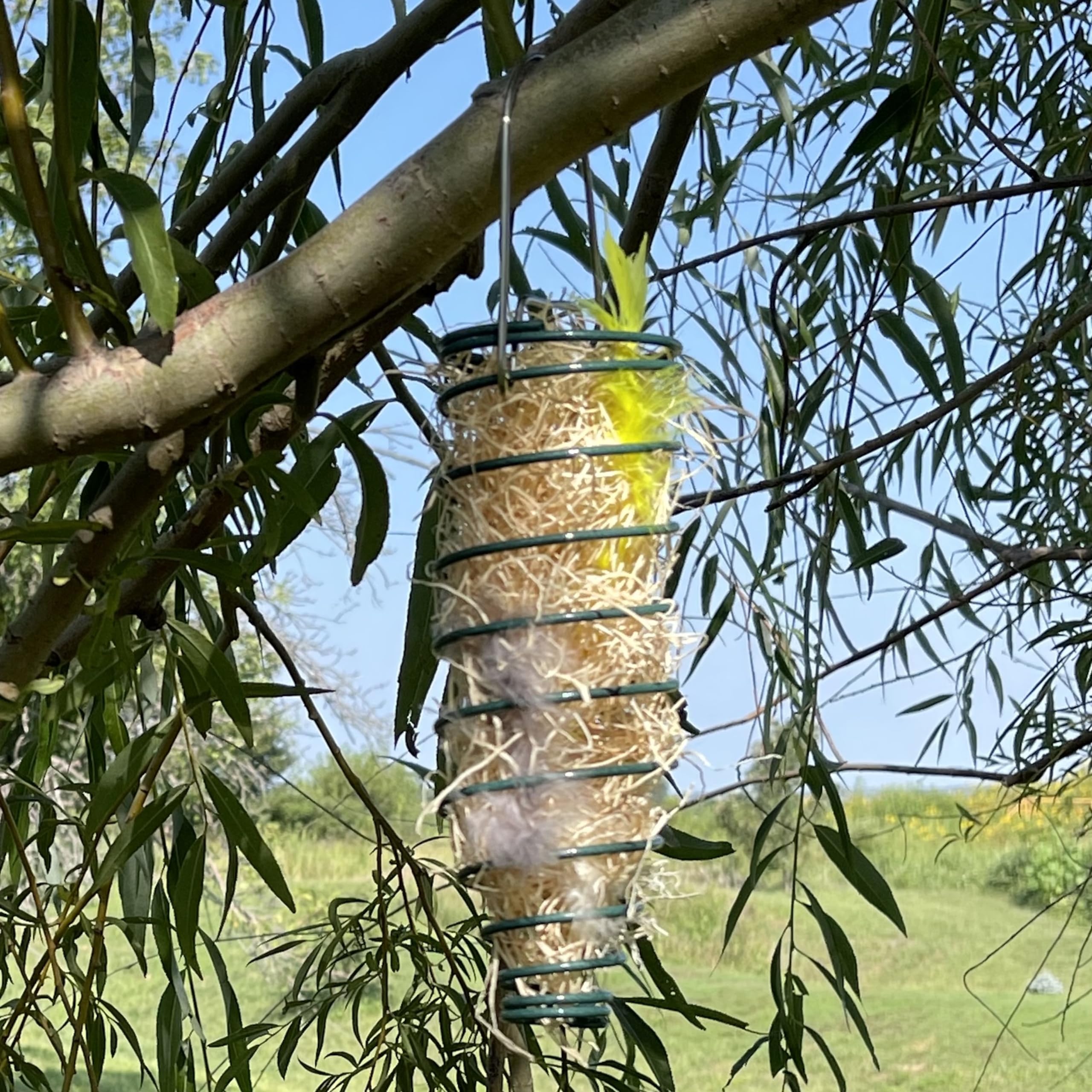 Songbird Essentials Nesting material