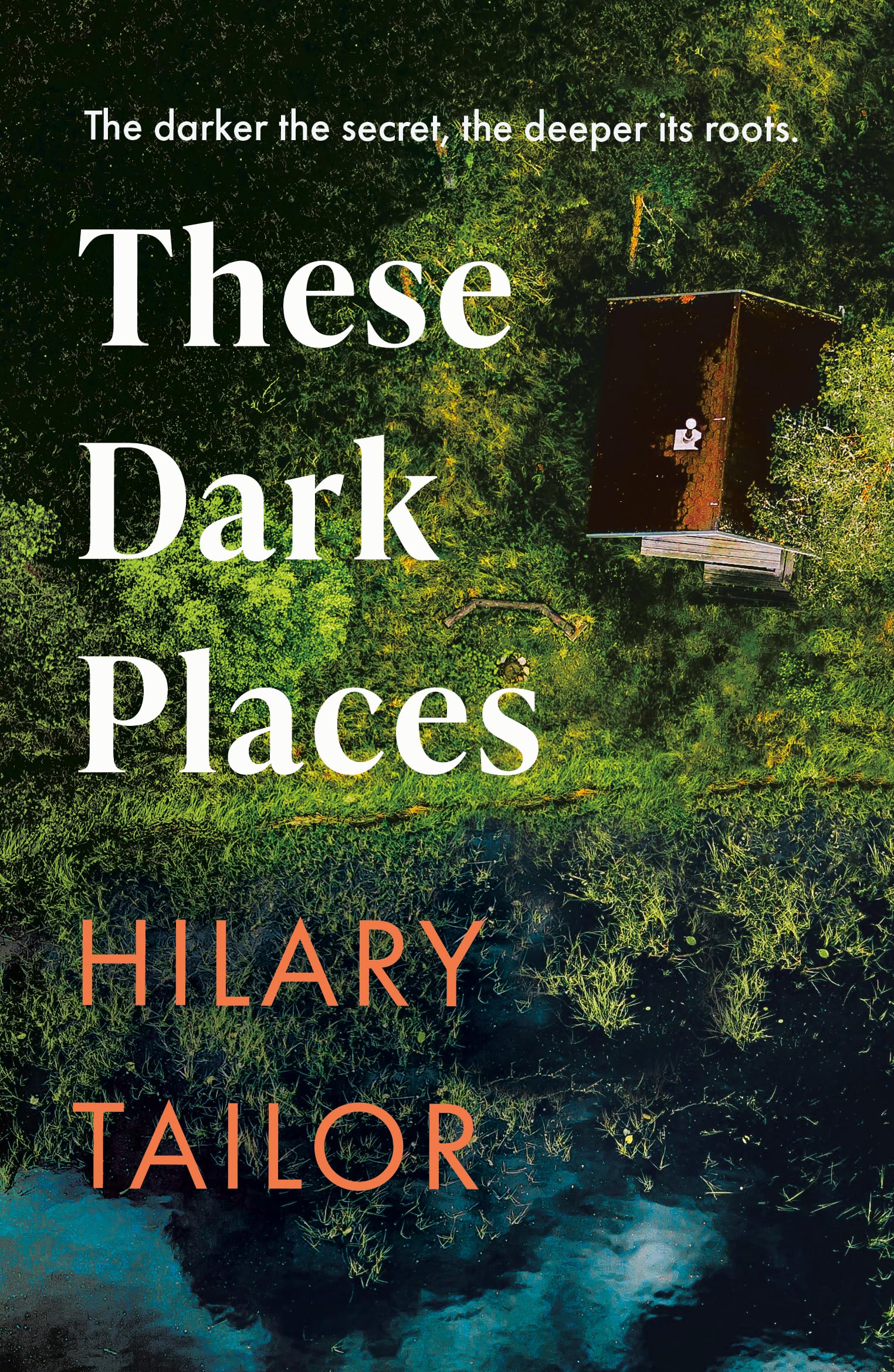 These Dark Places by Hilary Tailor - 9781662526831
