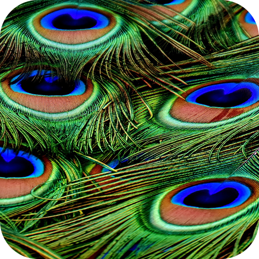 Texture 4K Wallpaper - App on Amazon Appstore