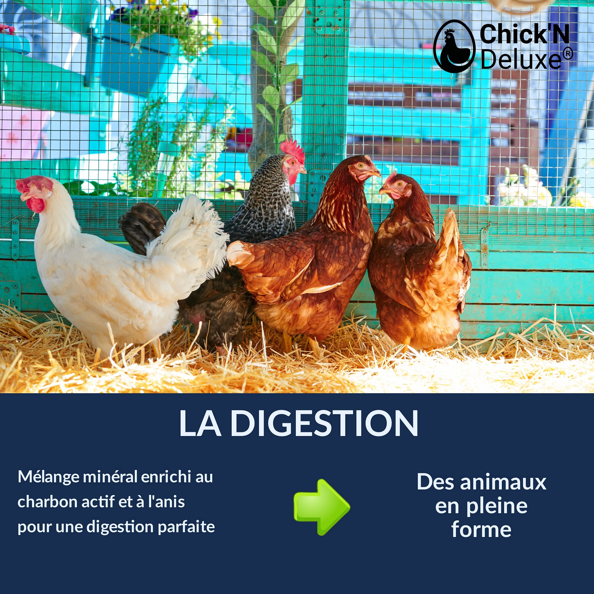 Chick'N Deluxe® Grit Deluxe 5Kg. Complément Alimentaire pour Pigeons/volailles. Mélange de minéraux, Charbon Actif et enrichi l'anis pour Une Digestion Parfaite. Renforce Aussi la Coquille d'oeuf.
