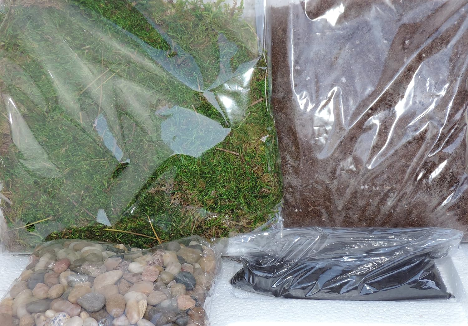 Terrarium Essentials Kit sold by JM Bamboo