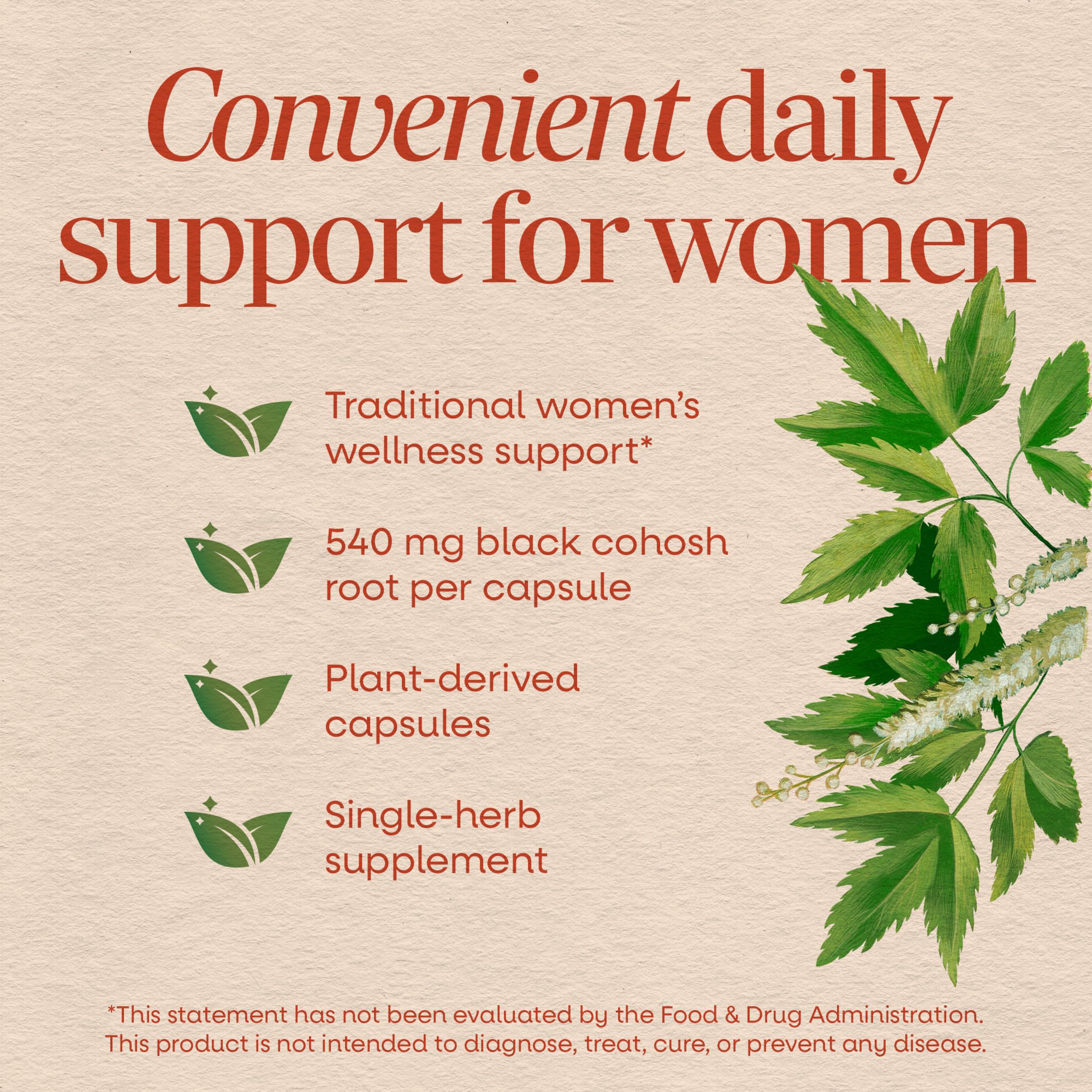 Nature's Way Herbs Black Cohosh Root Capsules, Vegan, 180 Count — Amazon image 3