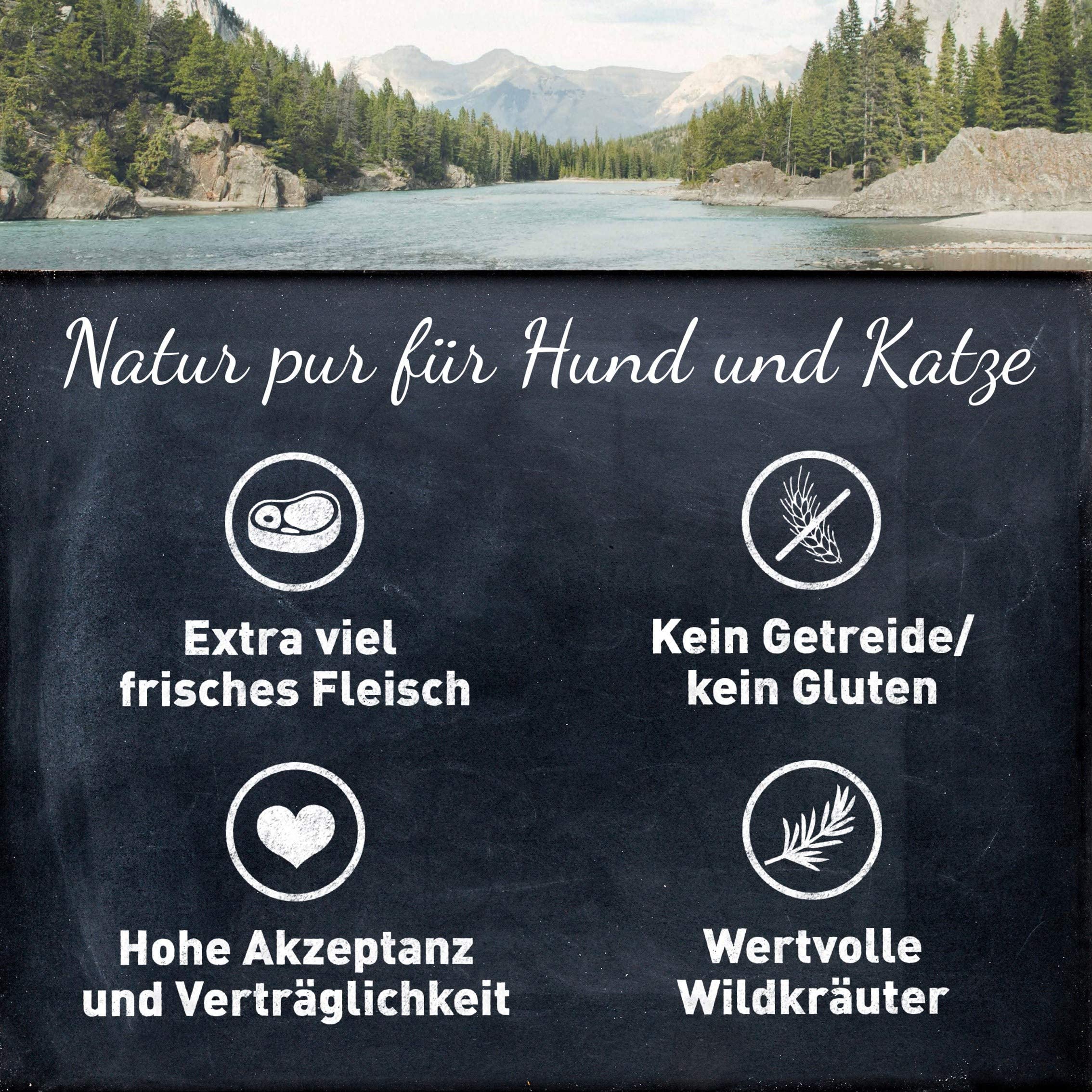 WILDES LAND – Ente | Nassfutter mit extra hohem Fleischanteil und natürlichen Zutaten für ausgewachsene Hunde. Getreidefreies Alleinfutter ohne Zusatzstoffe in der Dose | 24x800g Ente
