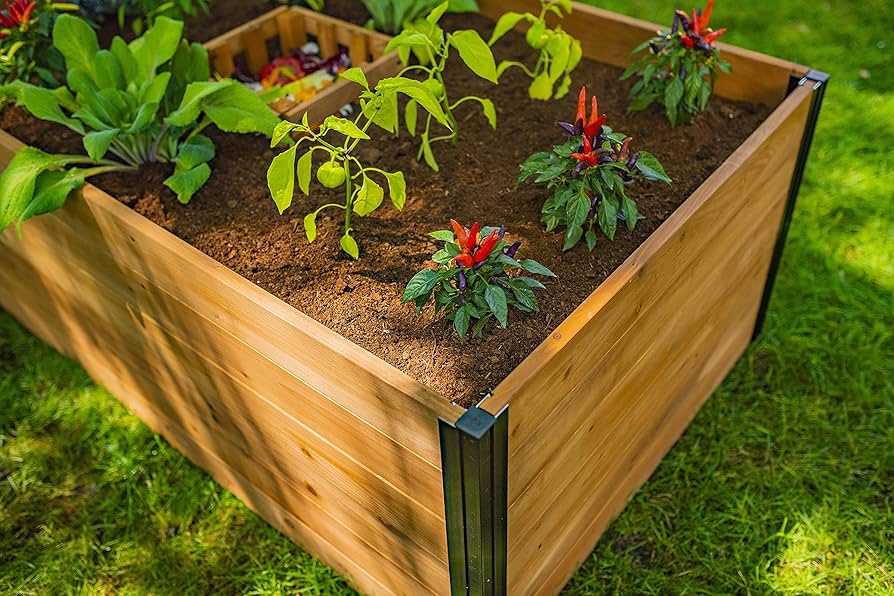 ヴァージニア('11米) Amazon.com : Vita Mezza 3 Foot x 5 Foot Keyhole Garden with