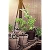 Product Photo 8