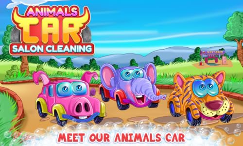 Animals Car Salon Cleaning – vue 7