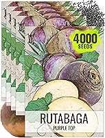 Seed Needs Purple Top Rutabaga Seeds - Non-GMO Heirloom Open Pollinated, 5 Packs for Sweet Fall Harvest Home Garden