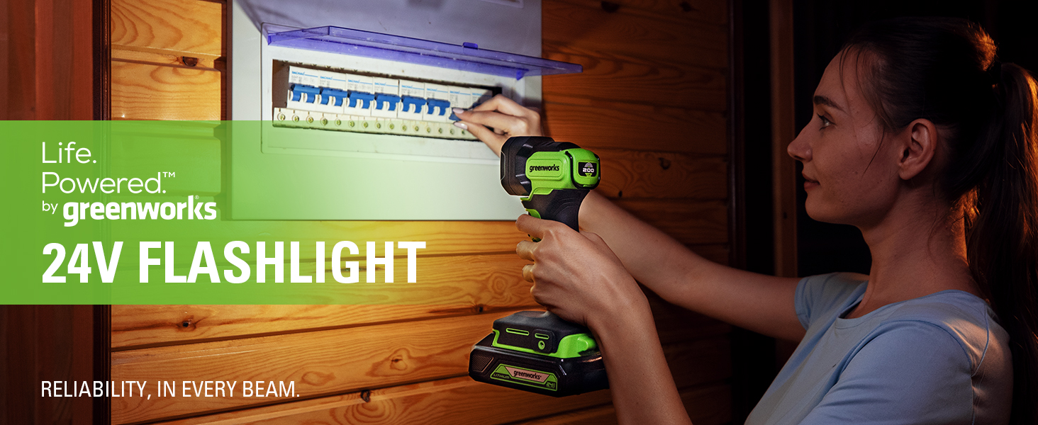 Amazon.com: Greenworks 24V Cordless High Intensity LED Flashlight