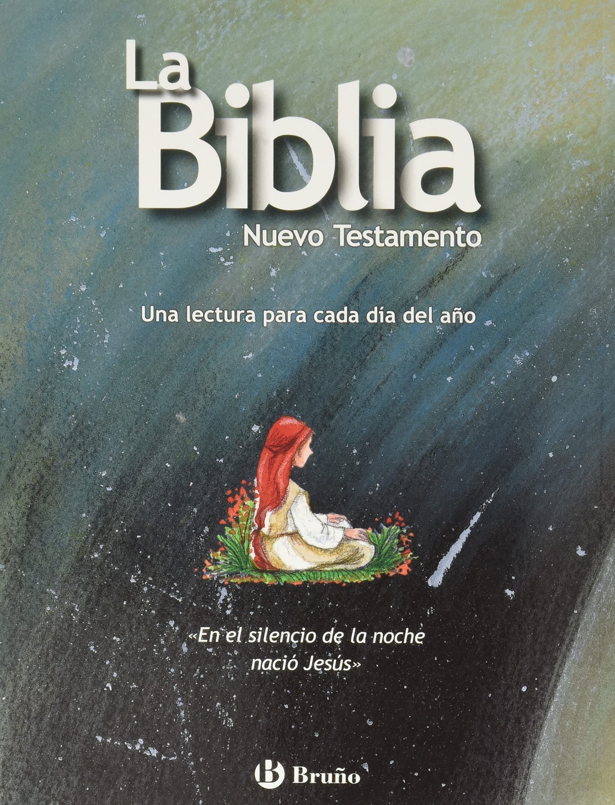 La Biblia: Una lectura para cada día del año (Castellano - A PARTIR DE 8 AÑOS - RELIGIÓN)