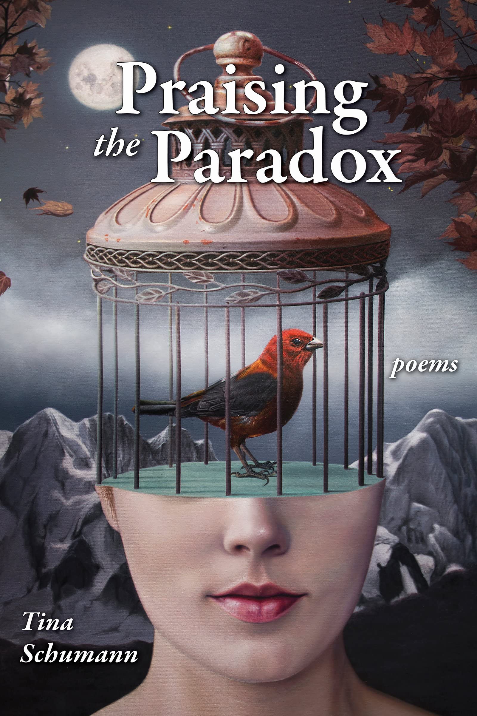 Buy Praising the Paradox — BookShops.in