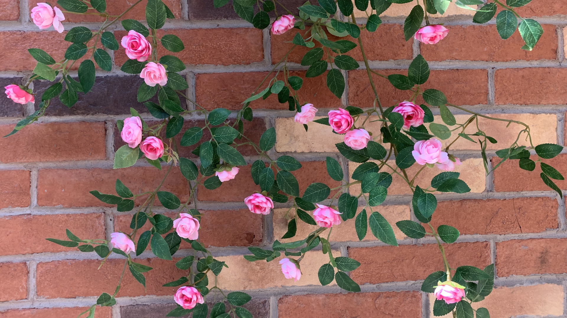 Amazon.com: Shyshining 6FT Bendable Pink Rose Flower Garland