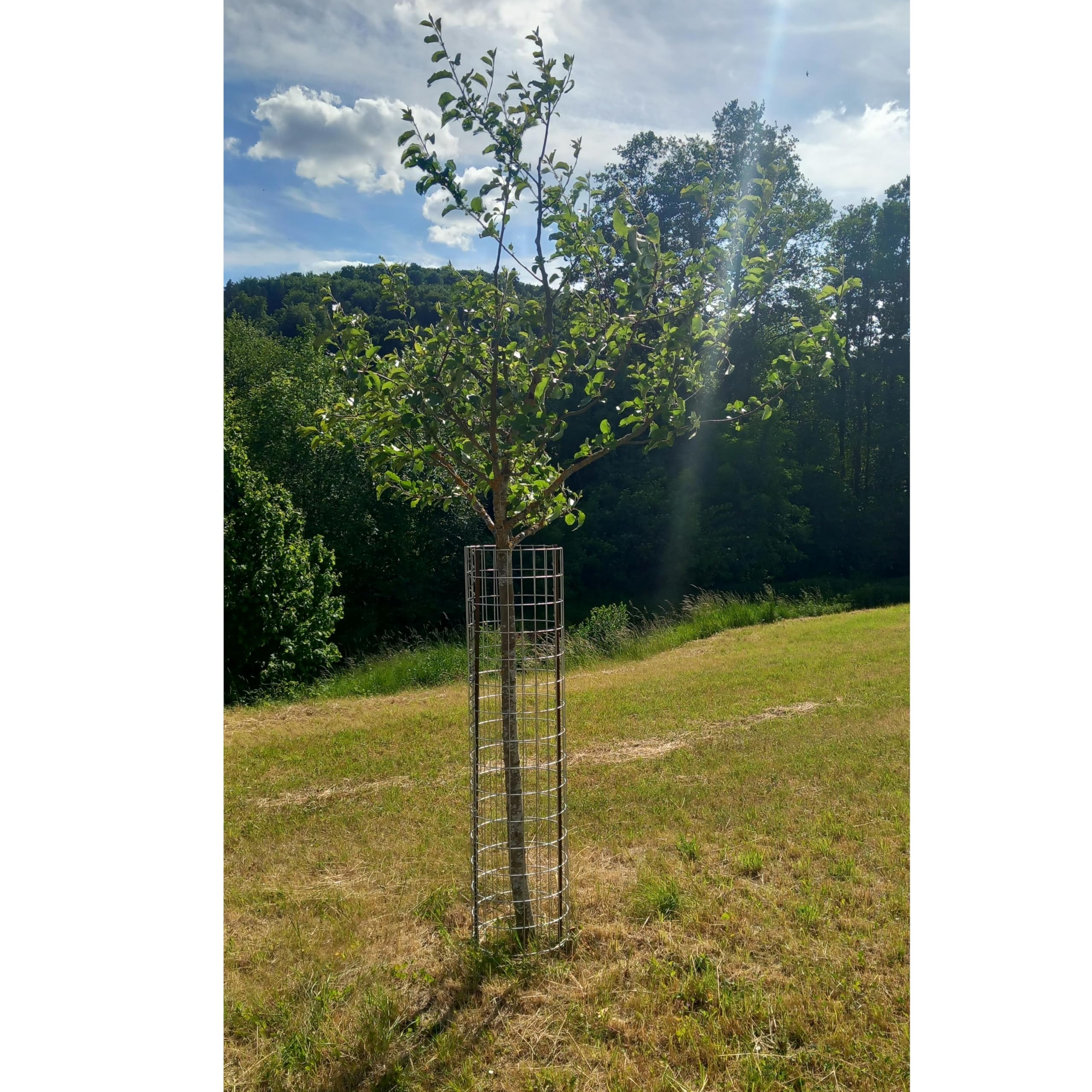 Estexo Gabione Gabionensäule Säule Rundsäule Steingabione Steinkorb Drahtkorb Baumschutzgitter Wildschutz Ø 35 cm (140 cm)
