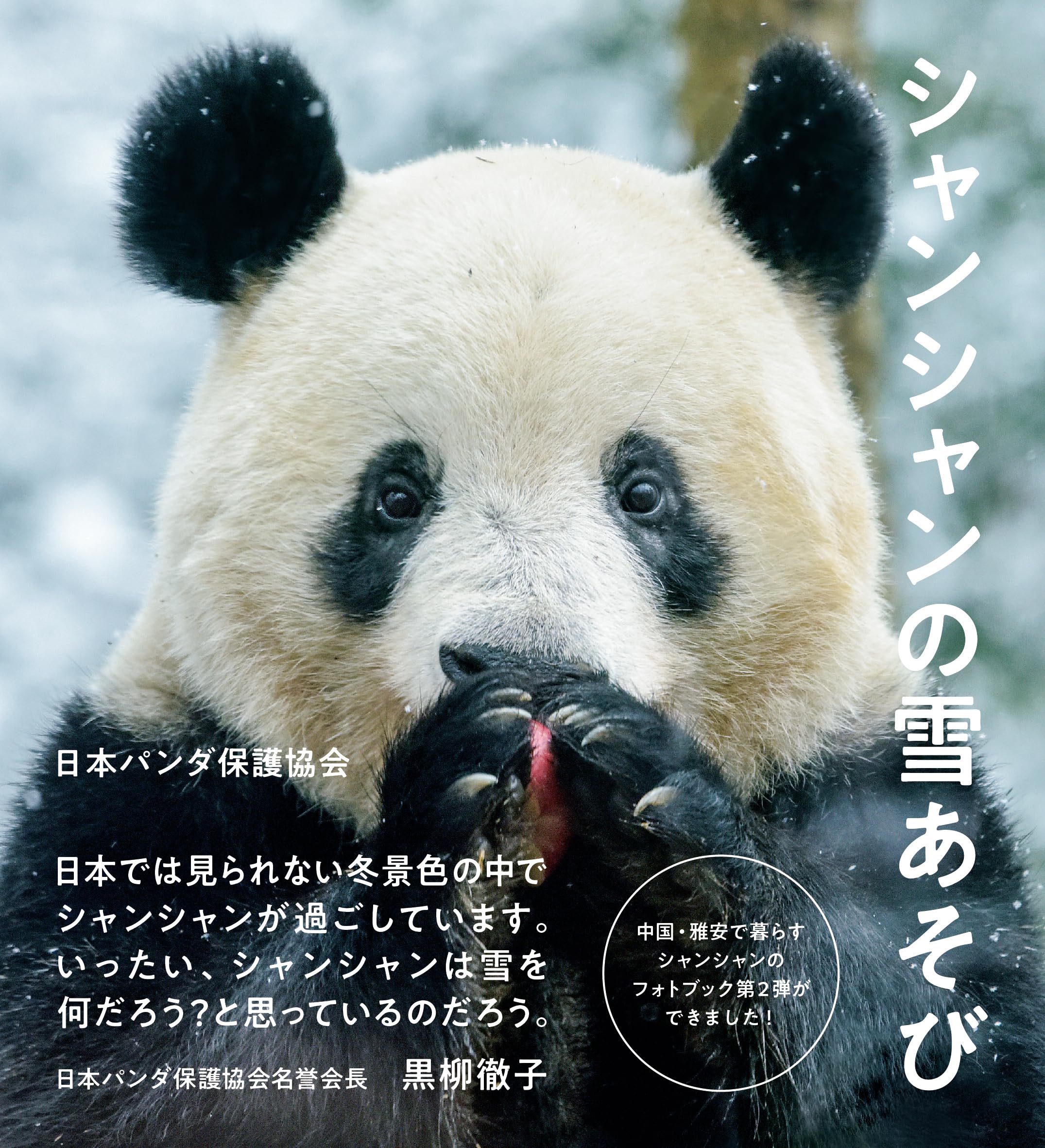 シャンシャンの雪あそび | 日本パンダ保護協会 |本 | 通販 | Amazon