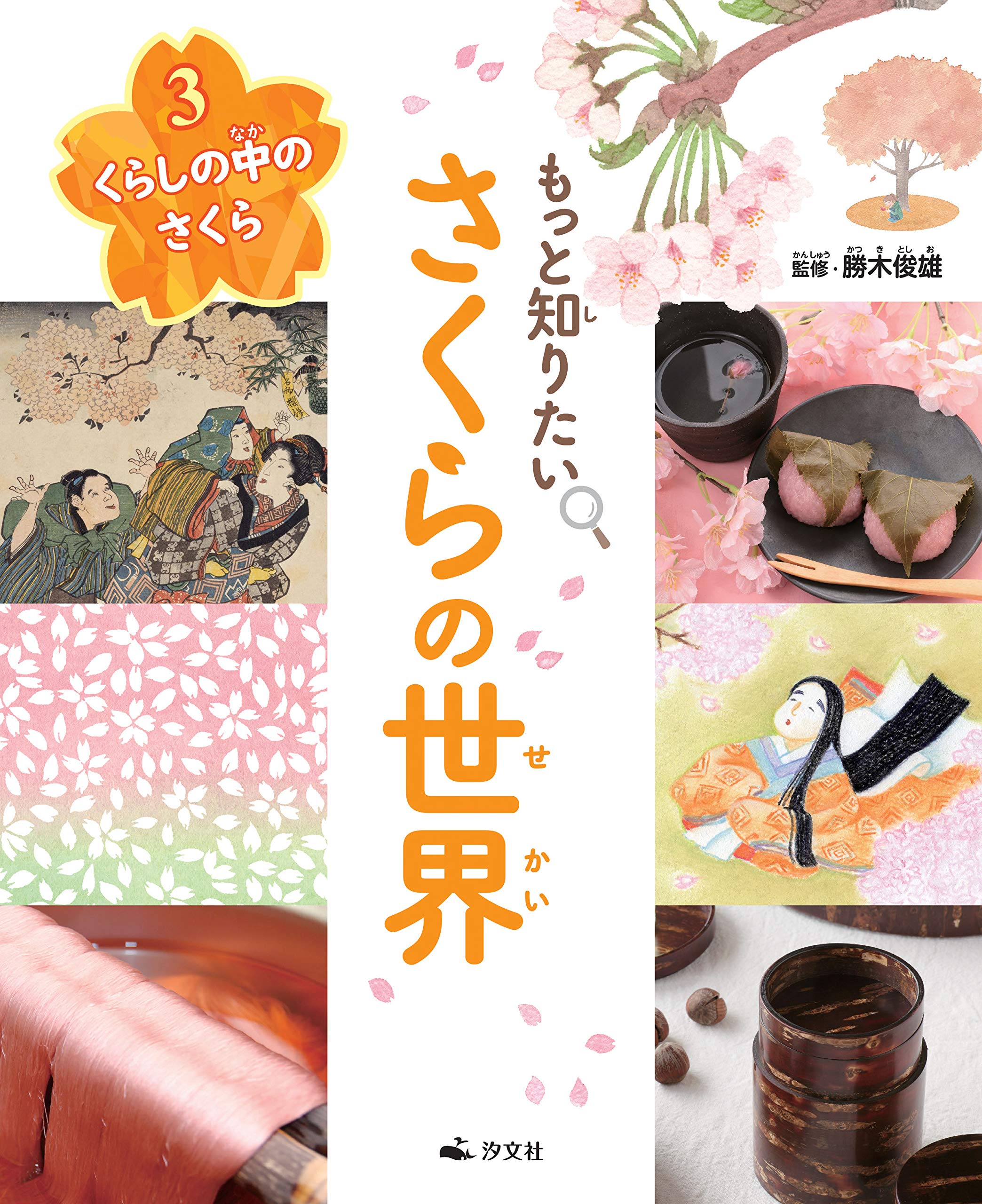 【さくら】衛生化学詳解 第3版 下 カードキャプターさくら クリアカード編 イラスト合皮製デッキ