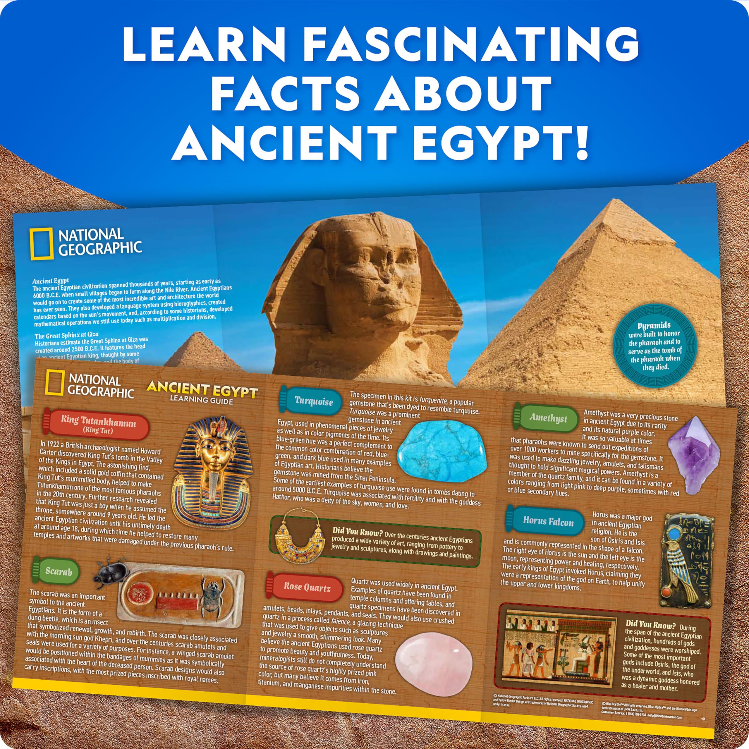 Amazon.com: National Geographic Ancient Egypt Dig Kit – Includes