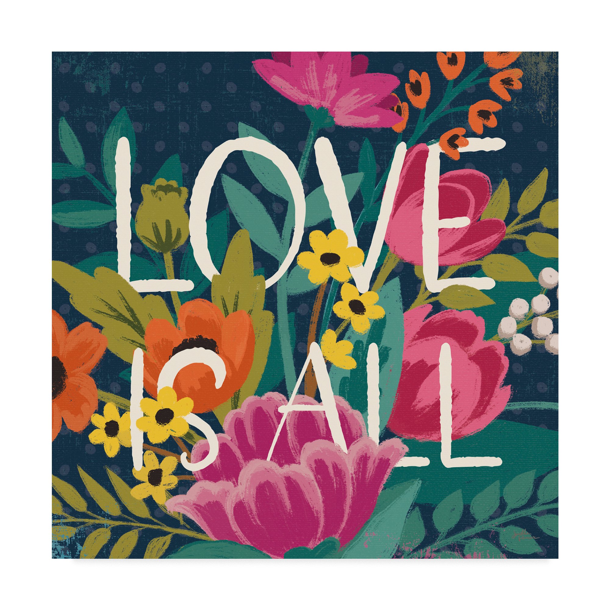 Trademark Fine Art Janelle Pinner Fine Art, Multicolor