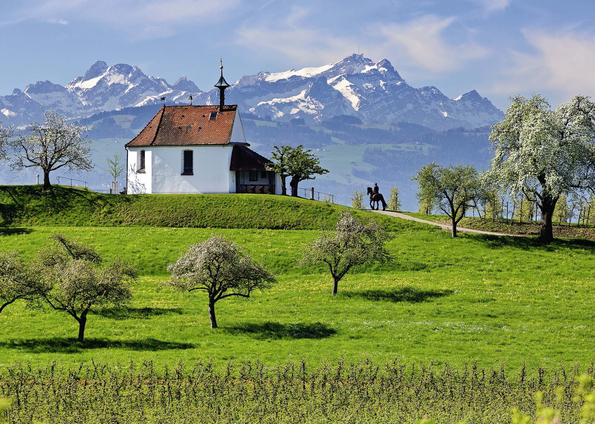 Ravensburger Puzzle, Puzzle 1000 Pezzi, Wasserburg am Bodensee, Puzzle per Adulti, Collezione Germania, Puzzle Paesaggi, Puzzle Ravensburger - Stampa di Alta qualità