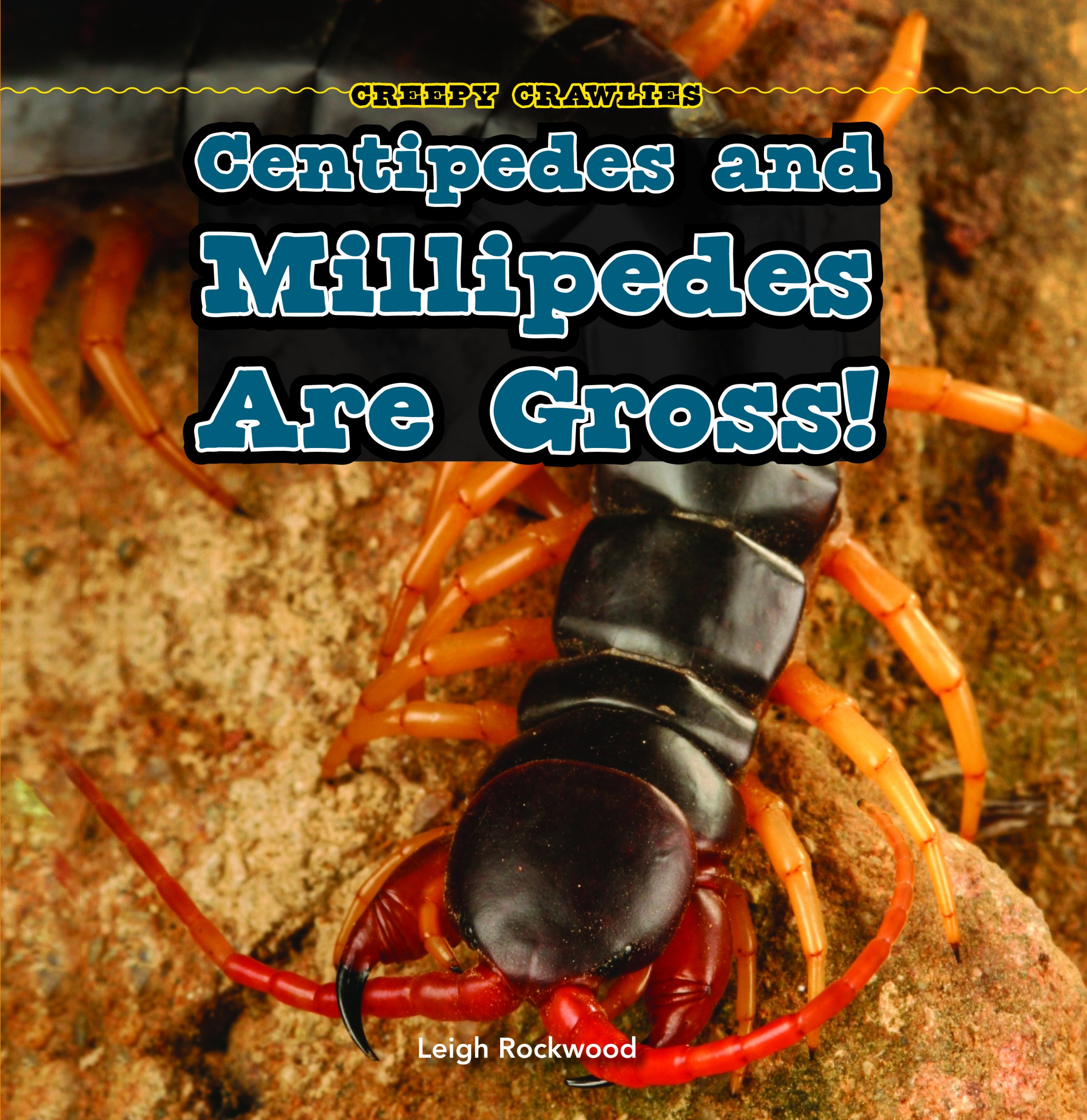 Centipedes and Millipedes Are Gross! Vaincre la Phobie des Insectes