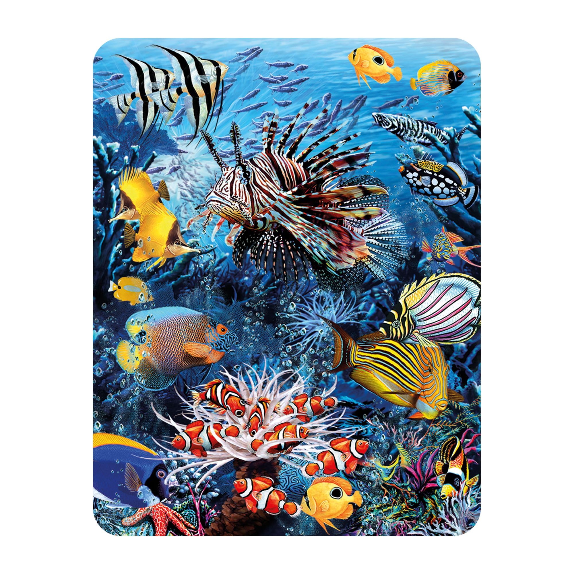 3D Livelife Multi-Coloured Magnet - Wonders Of The Reef From Deluxebase. Lenticular Ocean Fridge Magnet. Decorative 3D Fish Flat Magnets. Cute Small Magnets For Fridge, Dishwasher And Whiteboard.