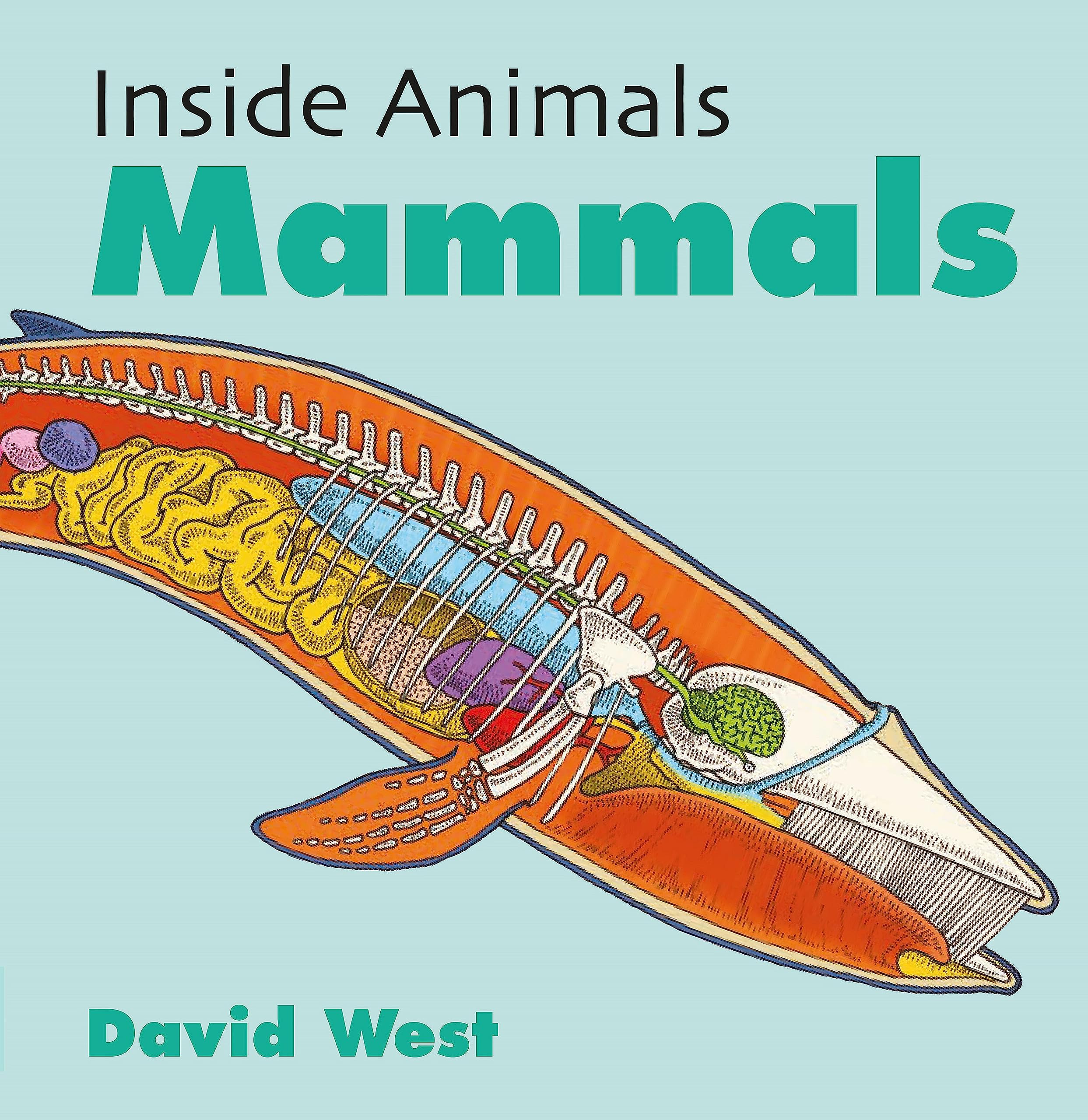 Mammals (Inside Animals)