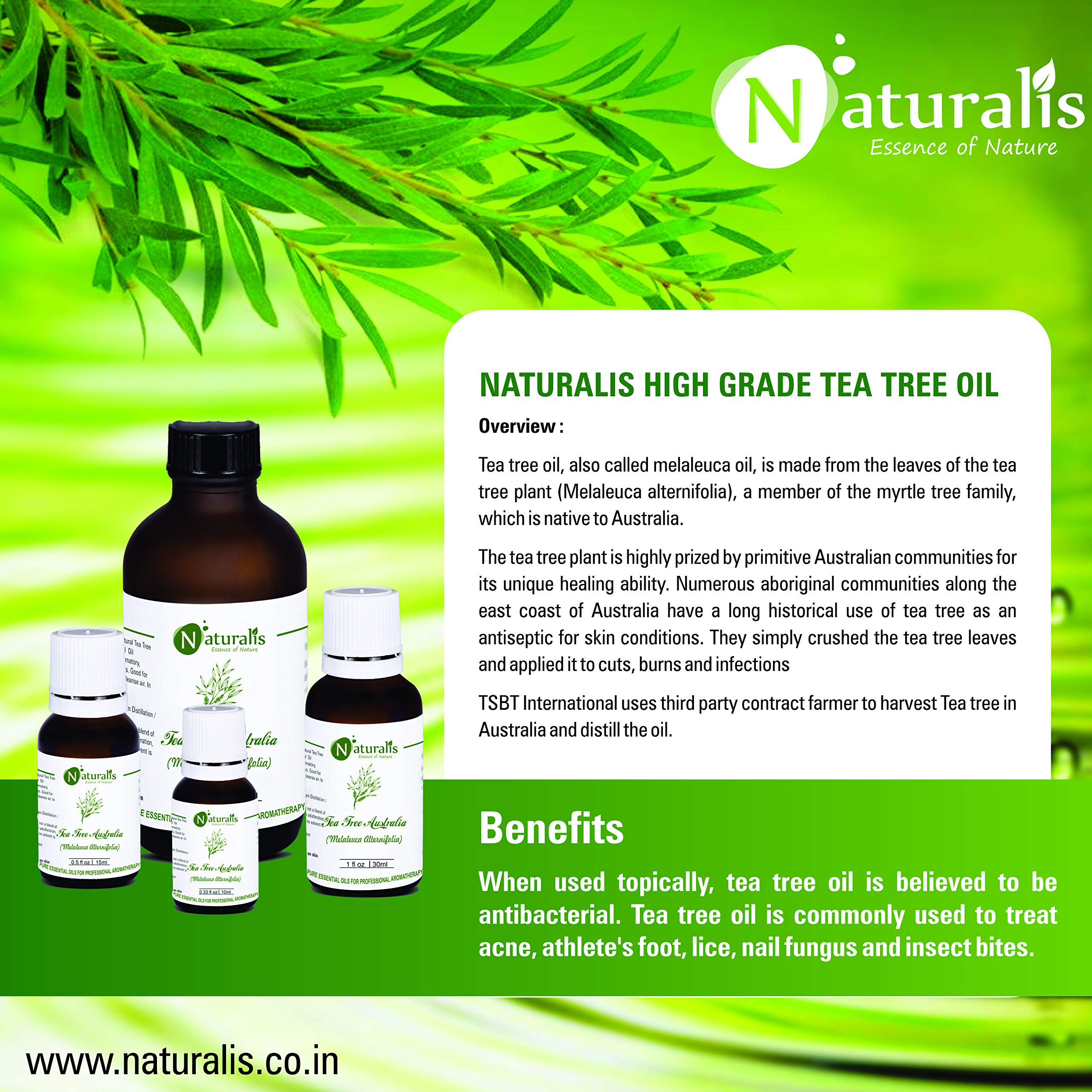 Naturalis Essence of Nature Australian Tea Tree Essential Oil for Acne, Pimples, Scars, Skin, Face, Hair care & Anti-Dandruff - 1000ml 1