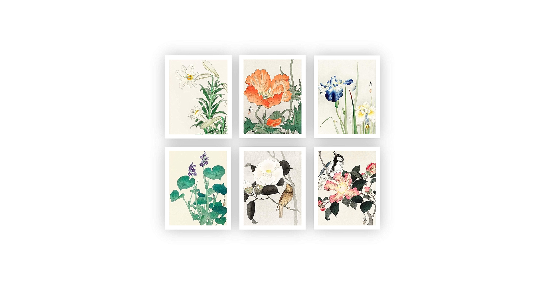 BOTANICAL ART 【import品】 91w9irXLWJL._AC_UF350,