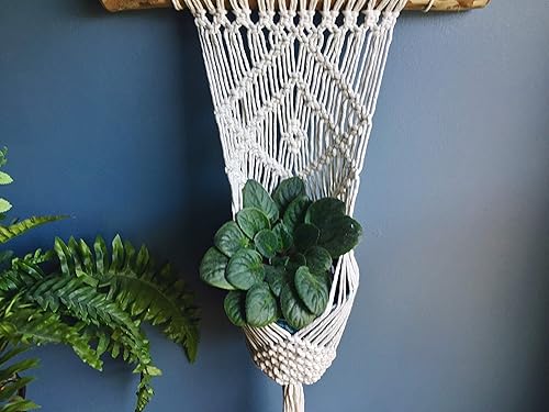 Miniatura 6 de WILD COTTON Macrame Plant Hanger Indoor Hanging Planter - Macrame Plant Holder - Macrame Plant Hanging - Macrame Plant Hangers Large - Driftwood