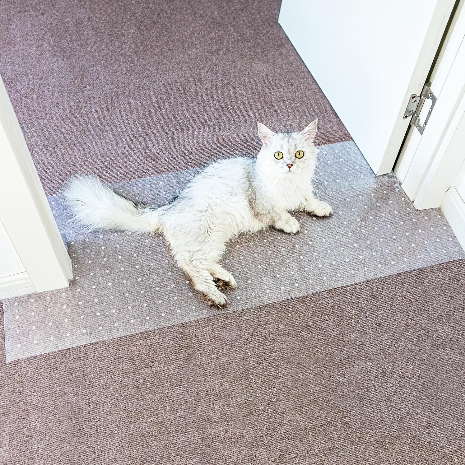 3.6FT Carpet Protector for Cats,Non Slip Cats Scratch Protectors for Pets,Carpet Scratch Stopper from Cat/Dog Scratching with Non-Slip Nail for Doorway Saver DIY Cut