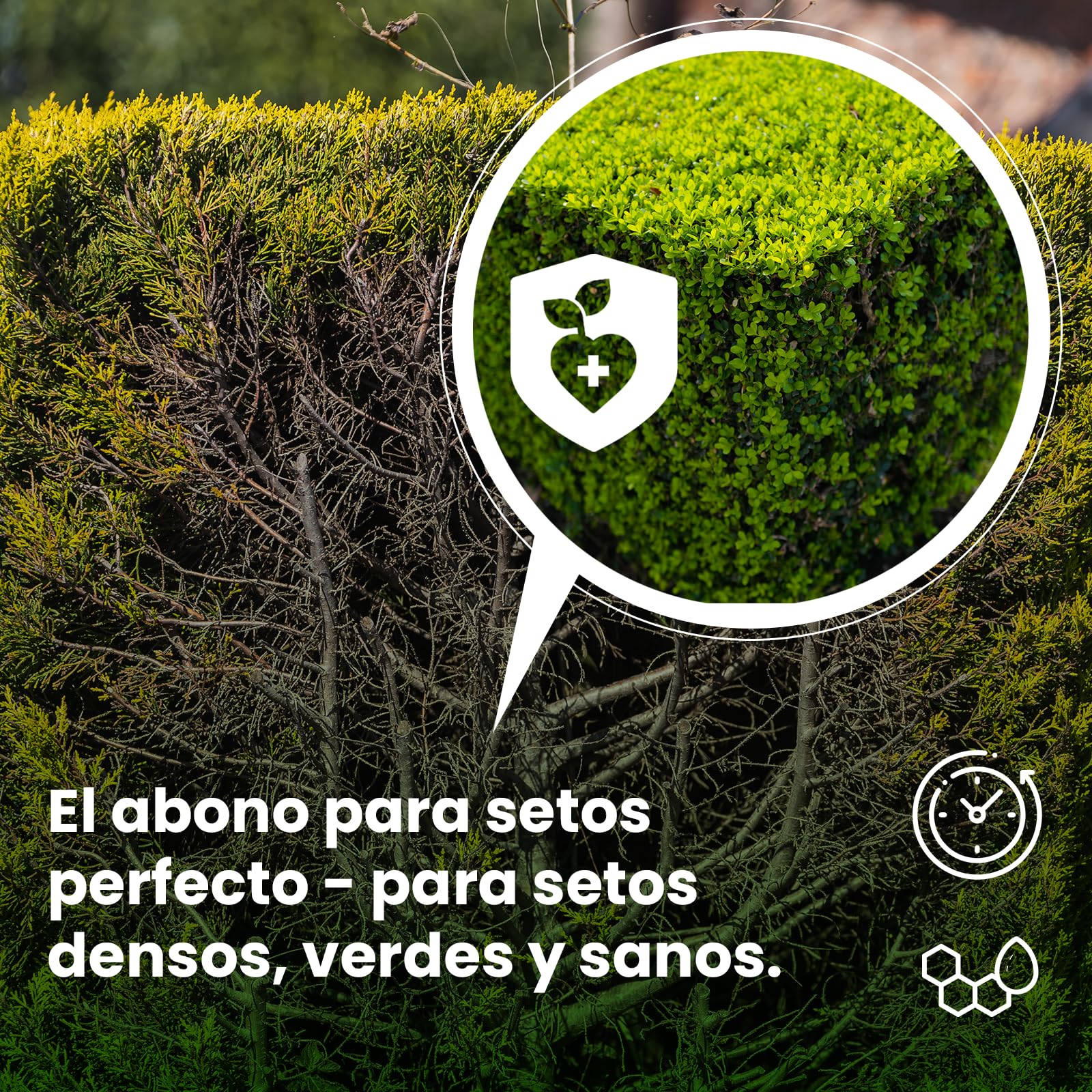 LERAVA® Abono setos [orgánico] - fertilizante coniferas - abono coniferas y setos - microflora y fertilidad del suelo - gránulos con zeolita para una óptima retención de nutrientes y humedad - 9kg