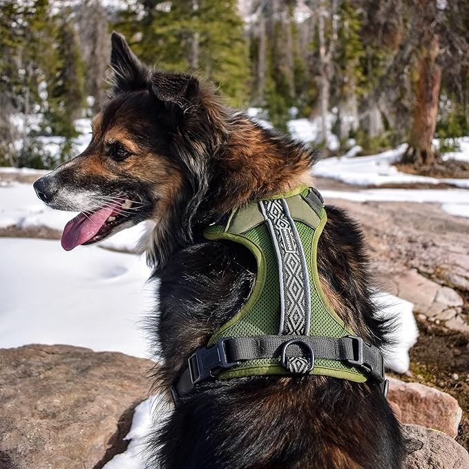wilderdog harness