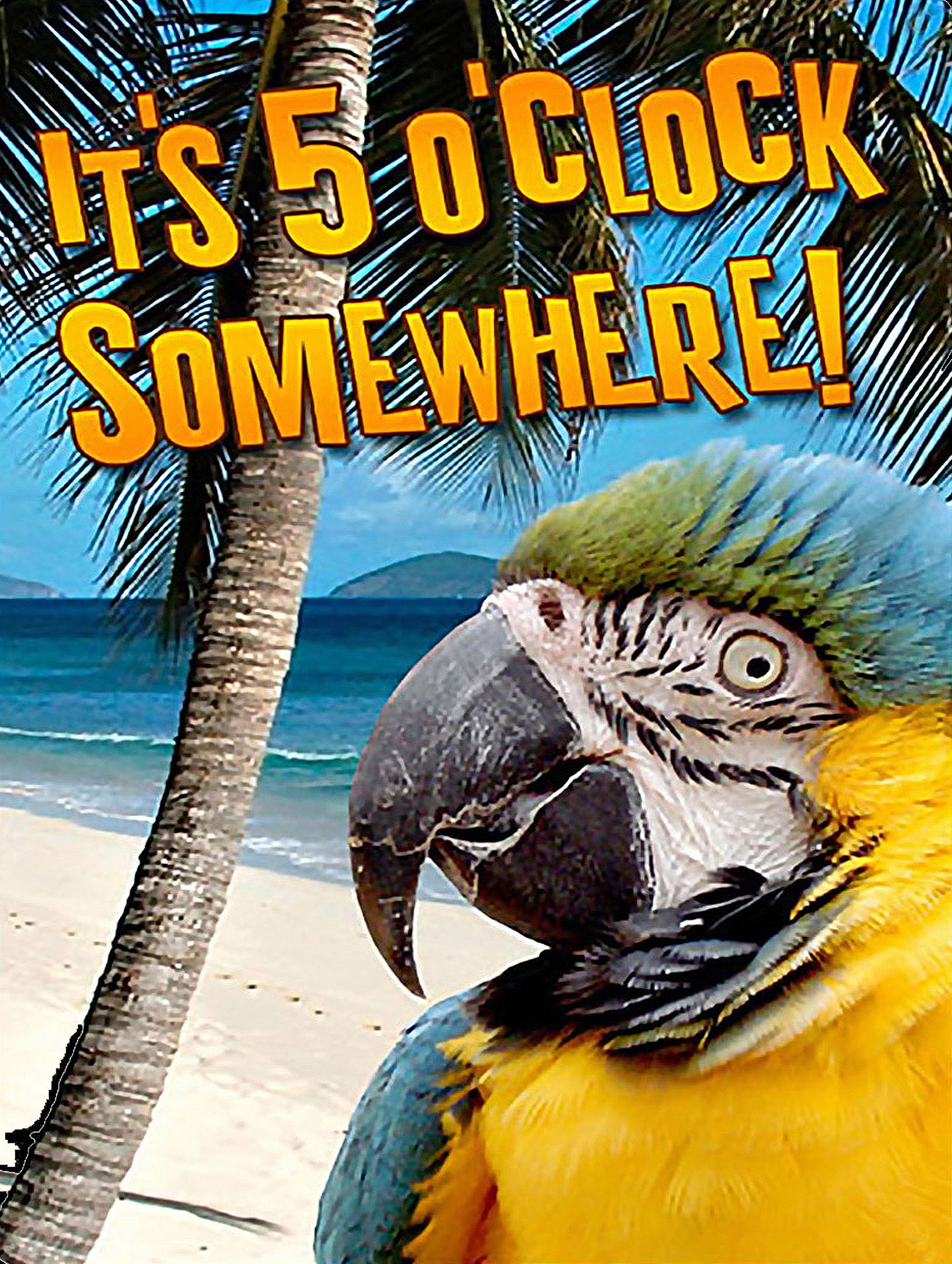 Shawprint Limited IT'S 5 O CLOCK SOMEWHERE, Retro Metal Fridge Magnet, 100mm x 75mm