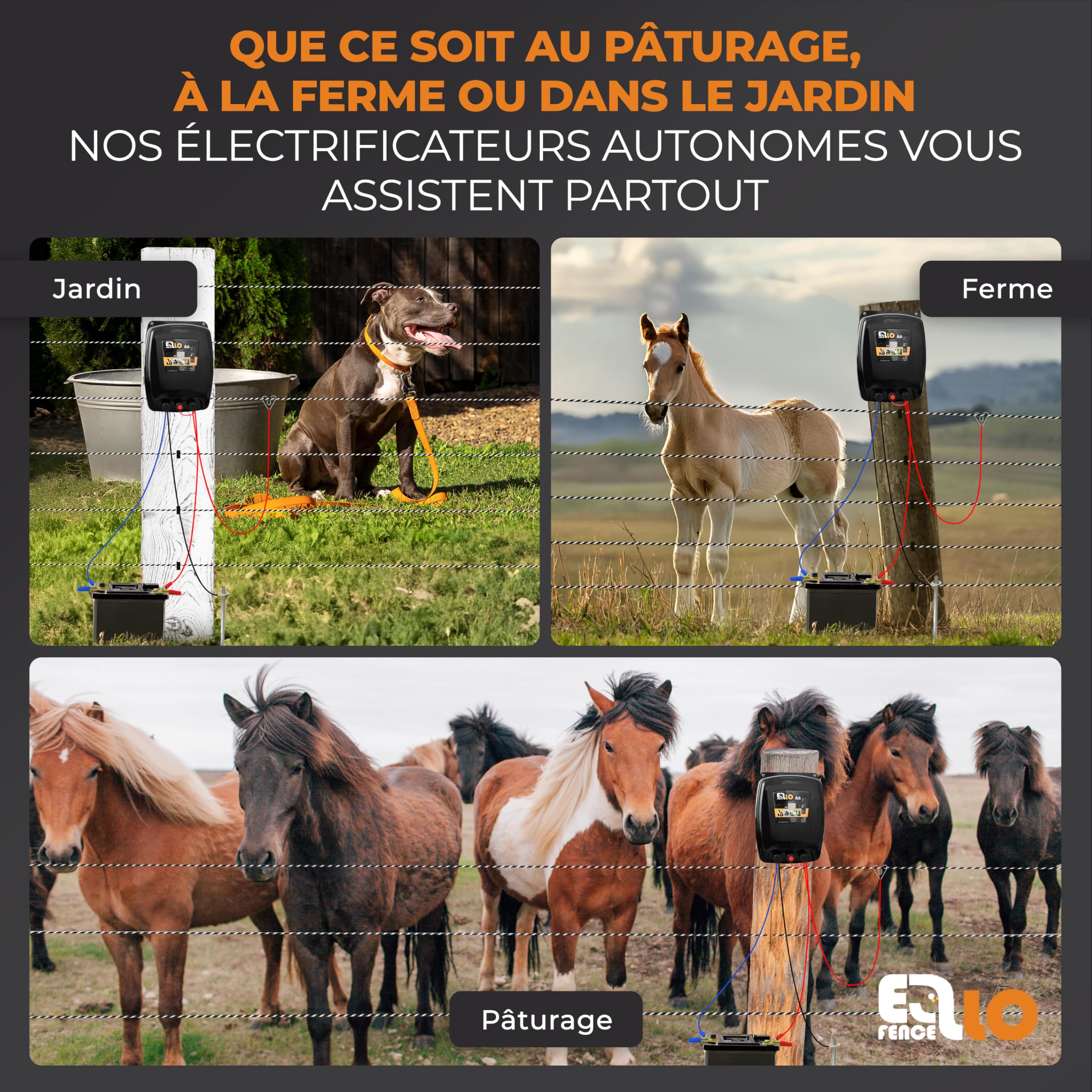 Électrificateur clôture électrique 12 V batterie (A60) – Silencieux & puissant – Appareil premium robuste pour pâturage – Idéal chevaux