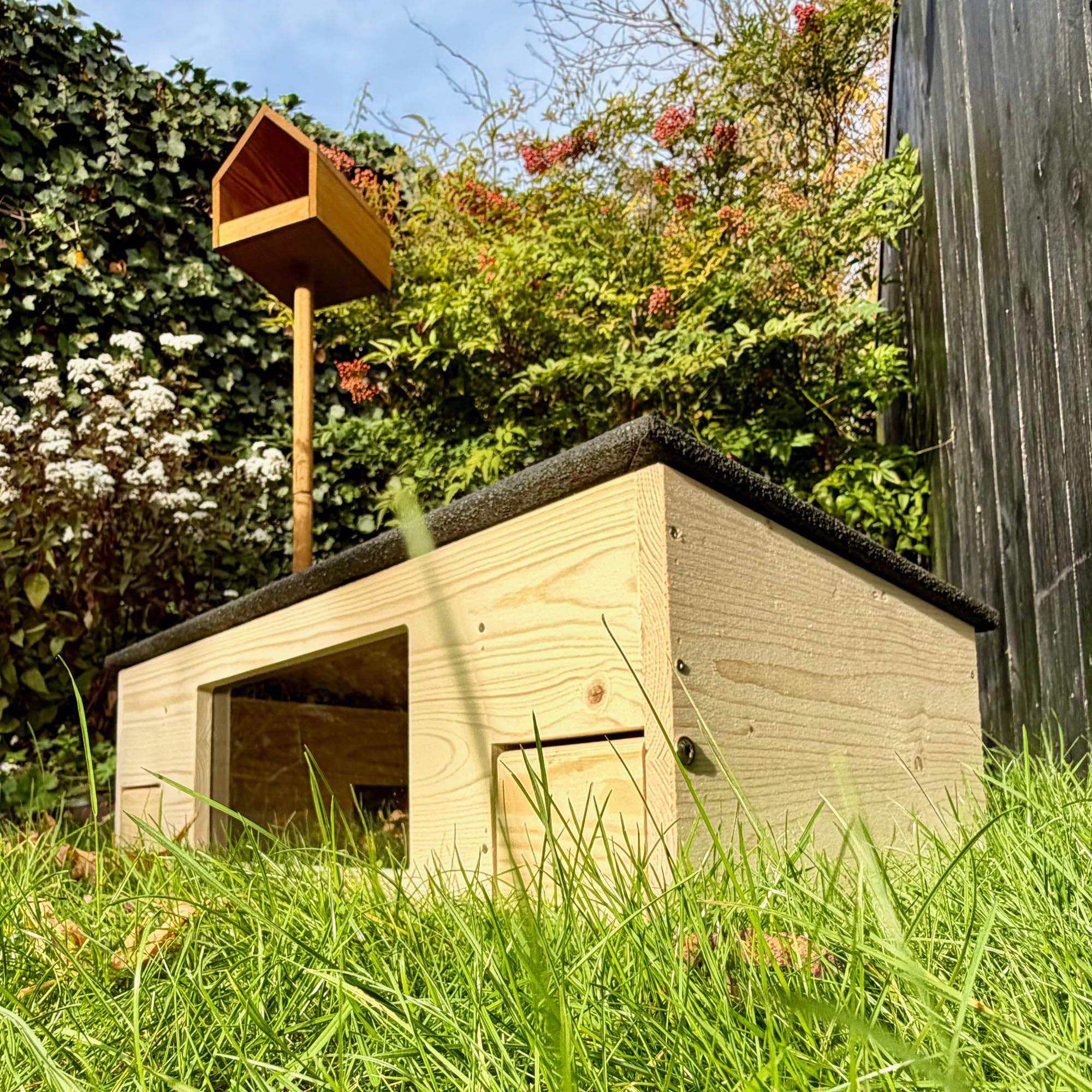 GARTENETAGE Igelfutterhaus XXL mit Panorama-Beobachtungsfenster, Rattenklappen & Fluchtweg – wetterfestes Igelhaus aus zertifiziertem Holz – nachhaltiger Schutz & Beobachtung im Garten