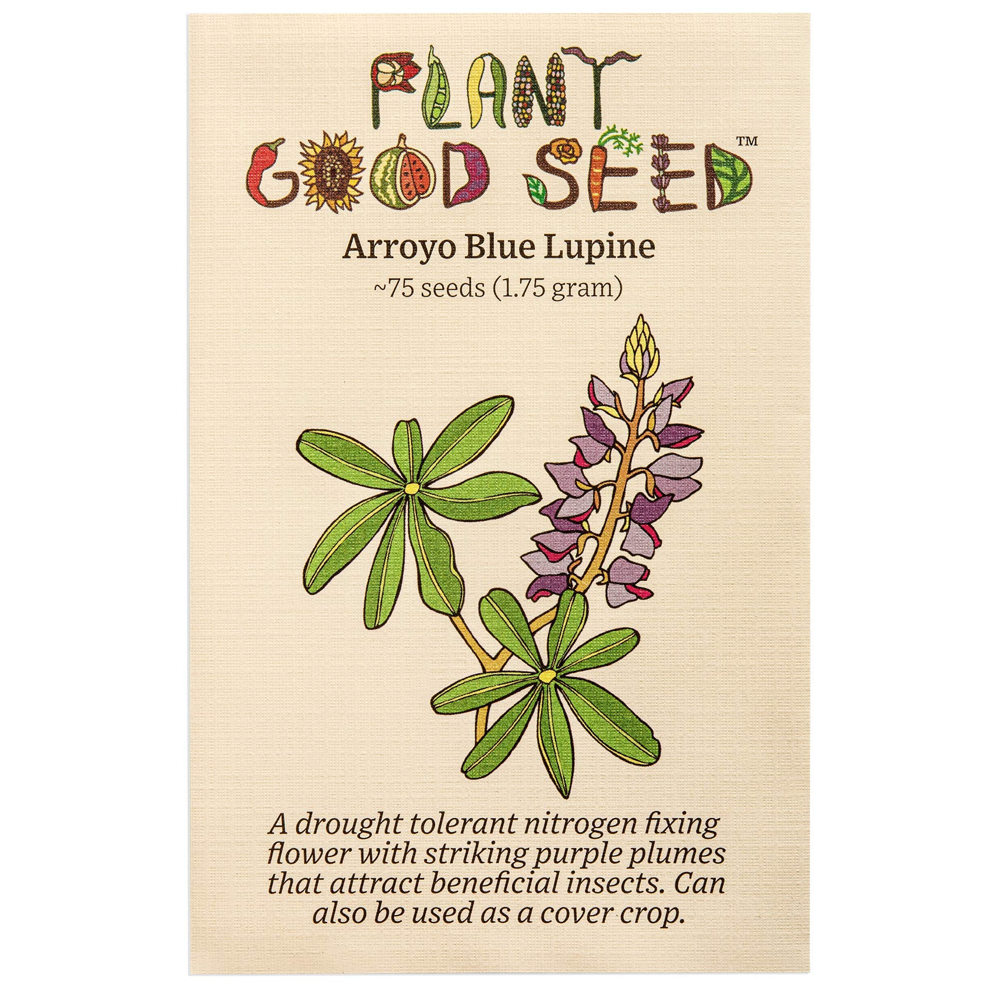 Plant Good SeedArroyo Blue Lupine Seeds - Pack of 60, Heirloom Seeds for Planting Flowers - Gardening Supplies, Wildflower, Herb Garden, Flower Seeds to Plant Outside - from USA