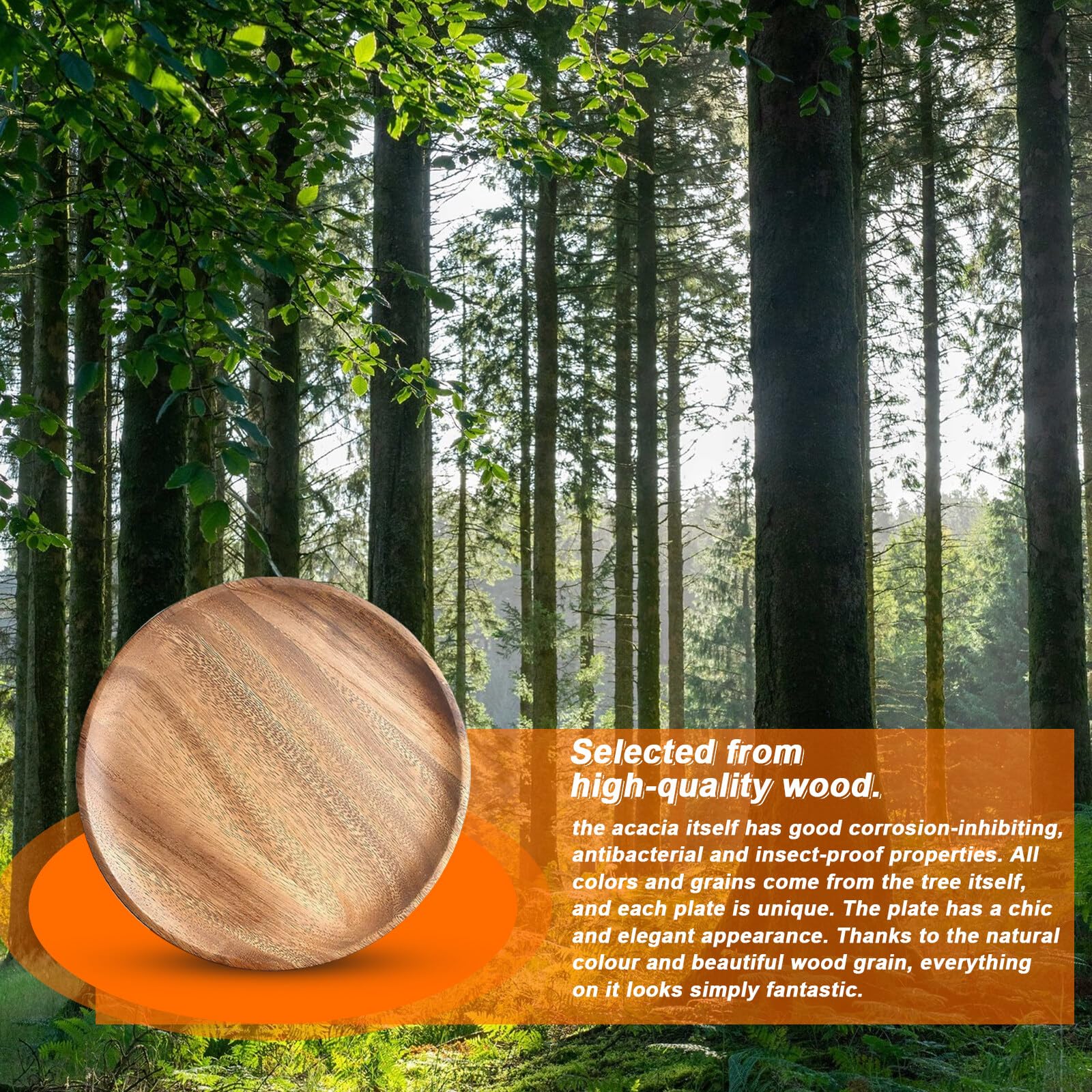 Lot de 2 Assiettes Rondes en Bois d'Acacia de 20 cm - Assiettes de Service Mini - Pour Présentation