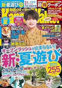 美品 関西ウォーカー　創刊号 91wBN5jpZYL._AC_UF350,