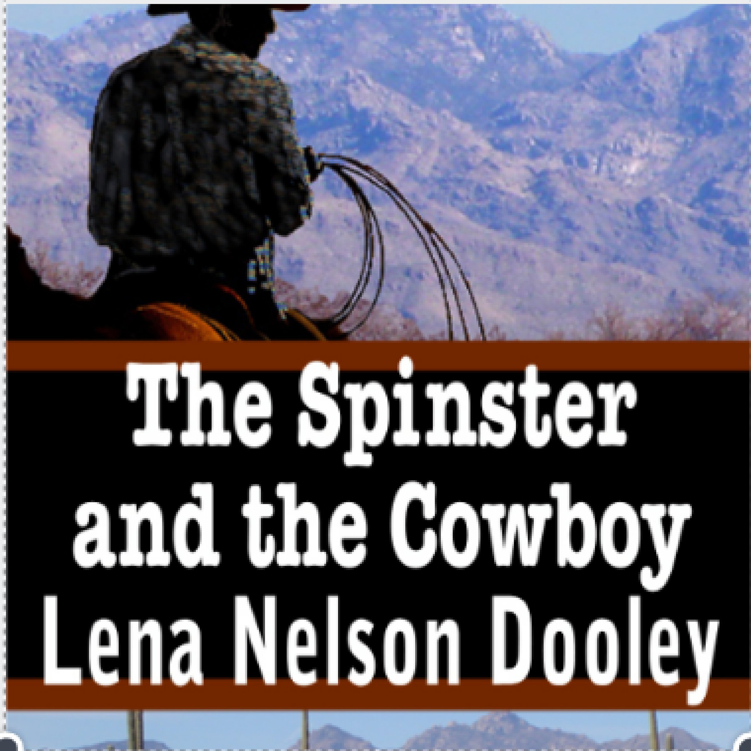 The Spinster and the Cowboy