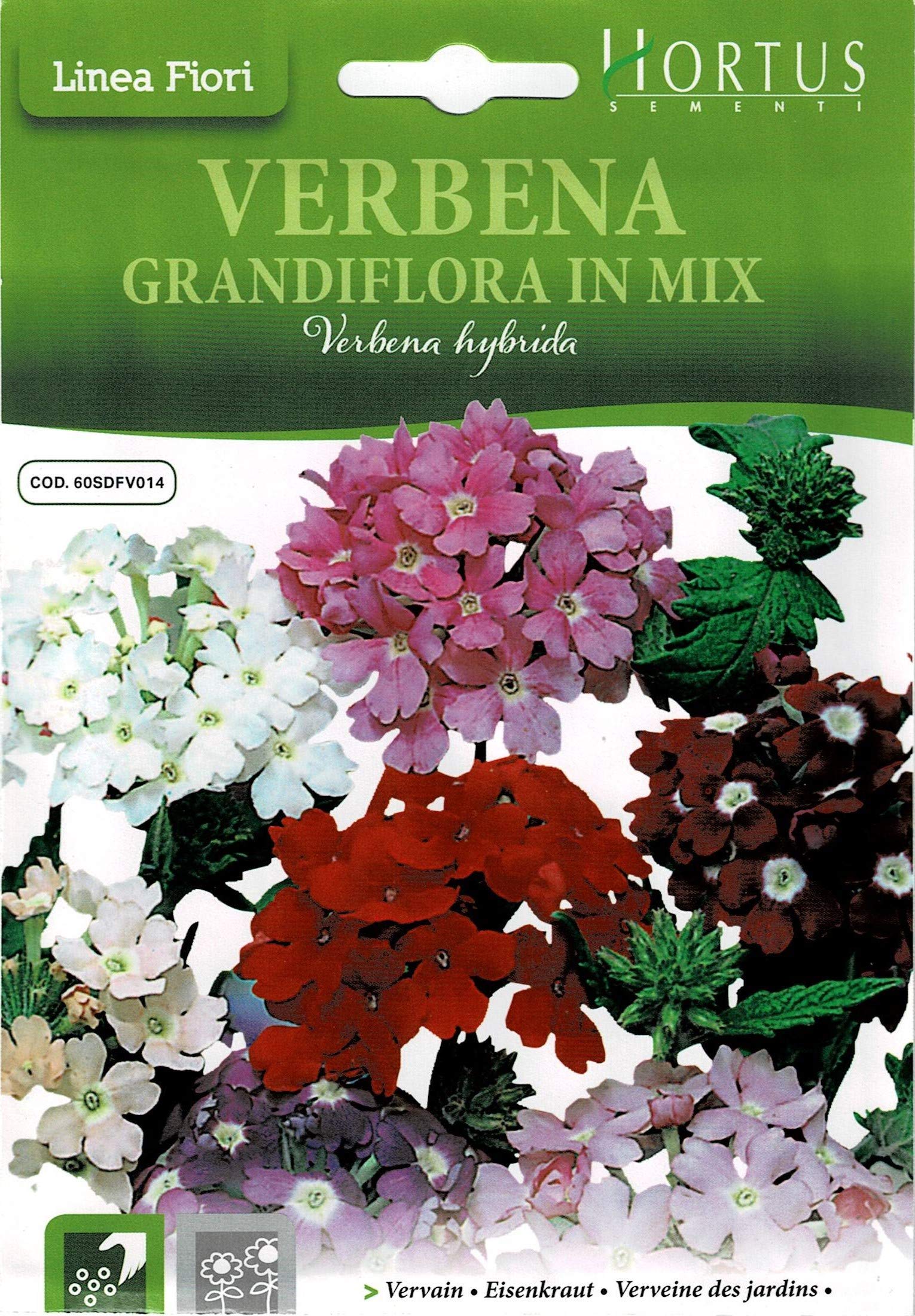 Hortus Sementi Vervain in Mix Seeds