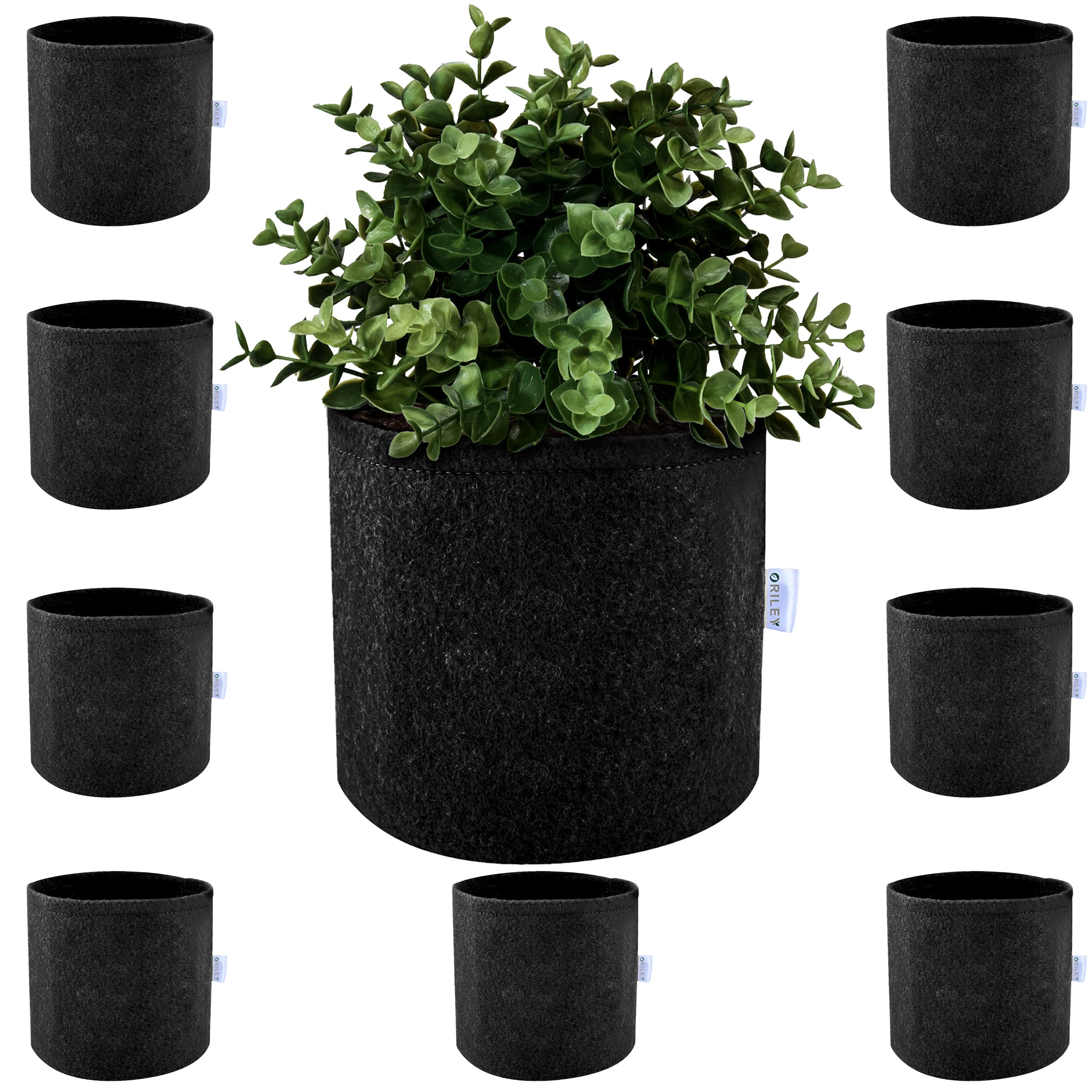 Oriley Grow Bag Heavy Duty Geo Fabric Plant Pot Lightweight Bags Ideal for Gardening Balcony Terrace (Black, Round, 500 GSM 6 x 6 inch Pack of 10) (B0BX31ZJRJ) Amazon Price History, Amazon Price Tracker