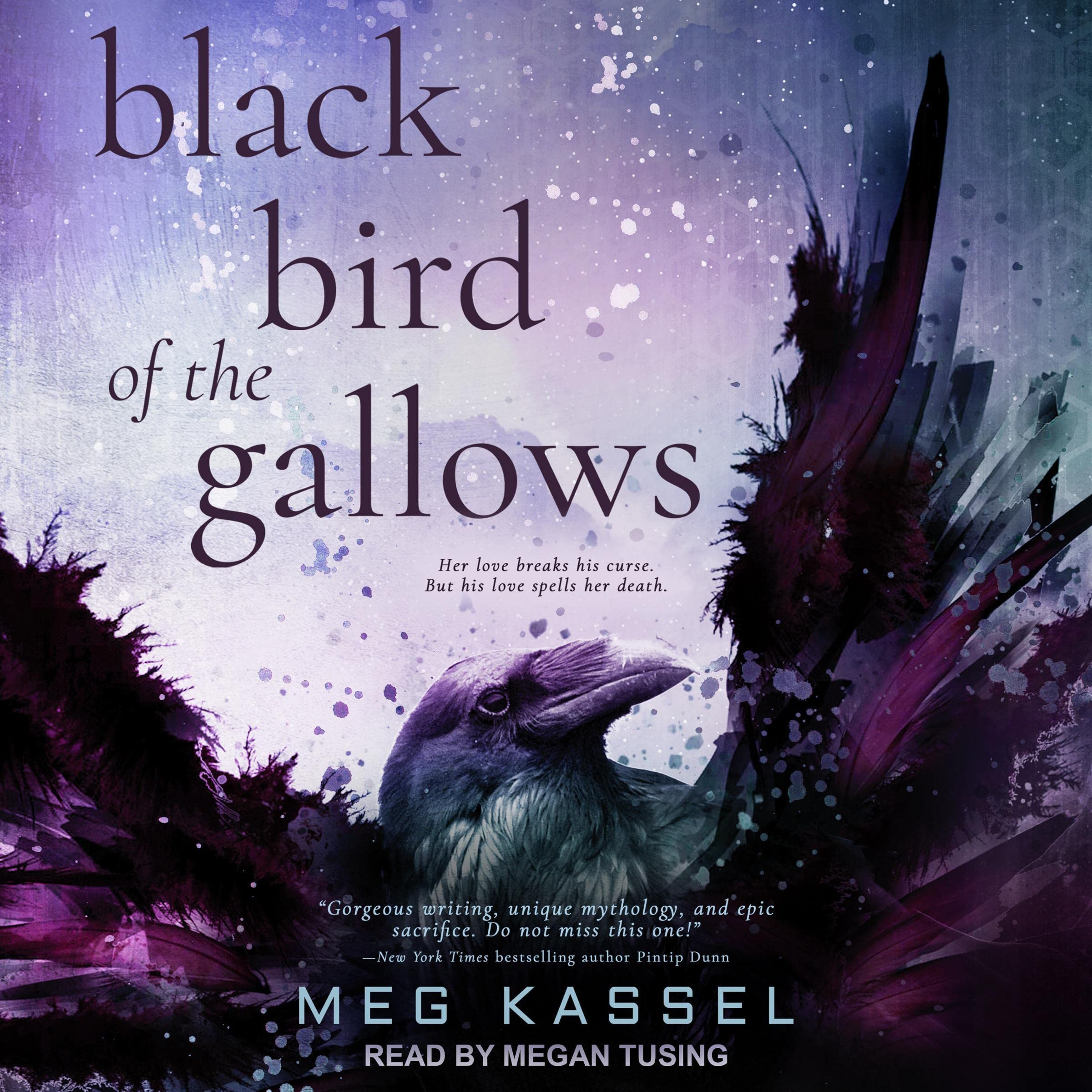 Cover art for Black Bird of the Gallows