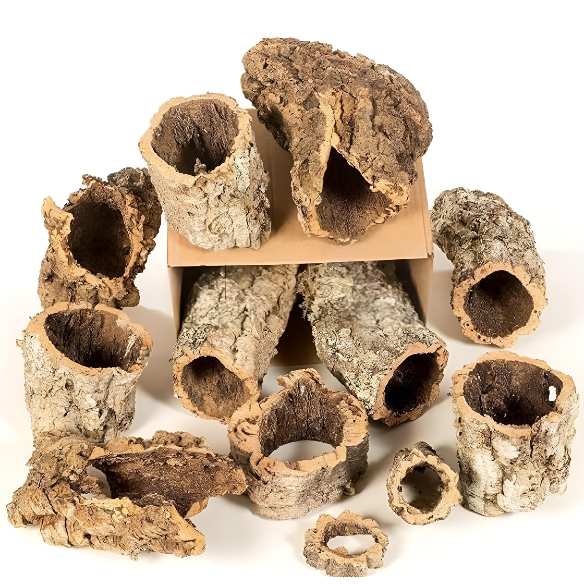 Cork Bark Tubes Mixed 20kg - Cork Bark for Reptiles, Terrariums & Vivarium Decoration
