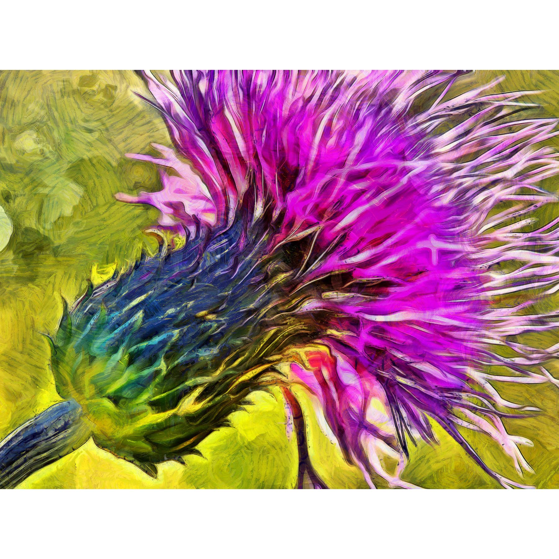 Scottish Thistle Flower Vibrant Large Canvas Wall Art Print