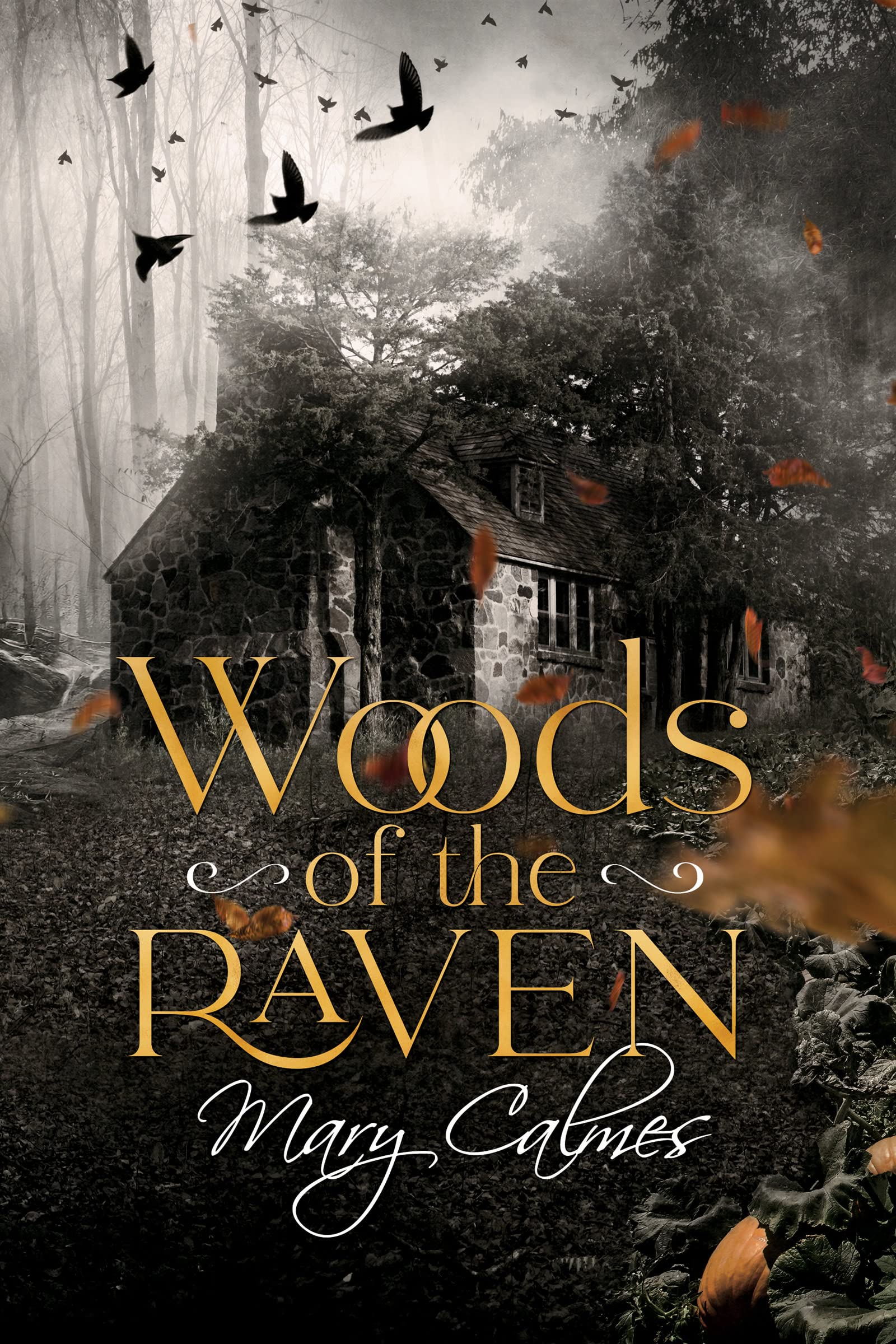 Woods of the Raven (Raven of the Woods Book 1)