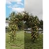 Product Photo 5
