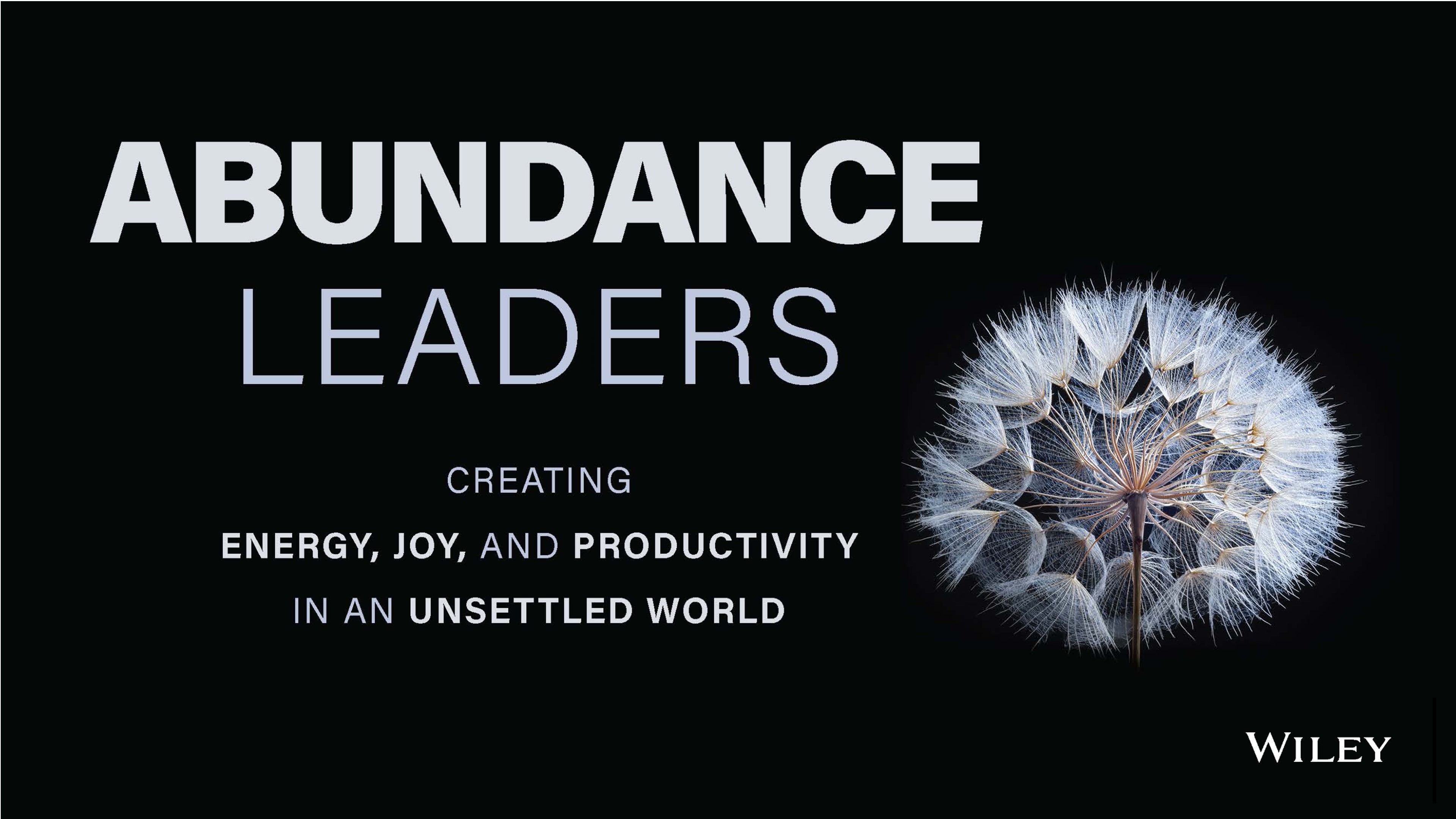 Amazon.com: Abundance Leaders: Creating Energy, Joy, and