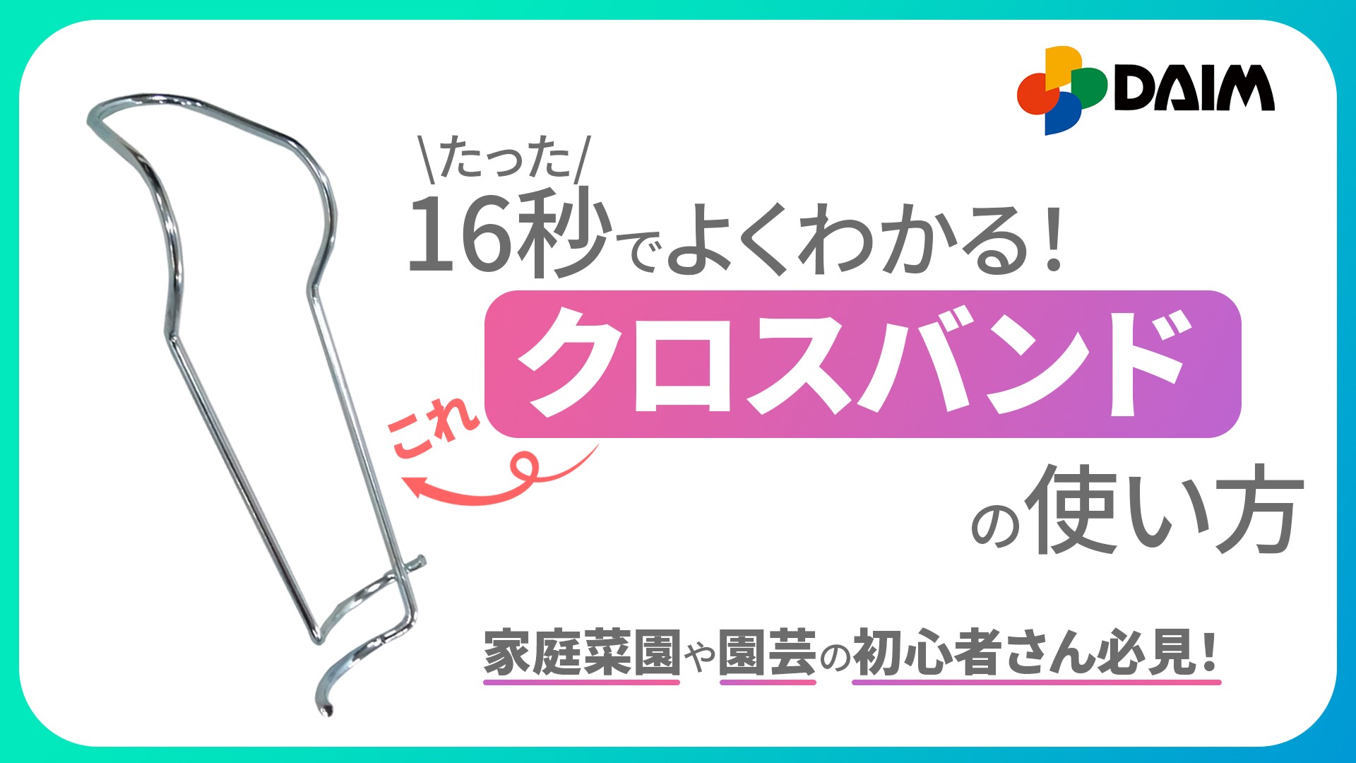 Amazon.co.jp: DAIM 菜園クロスバンド10ヶ入 パイ13-16: 文房具