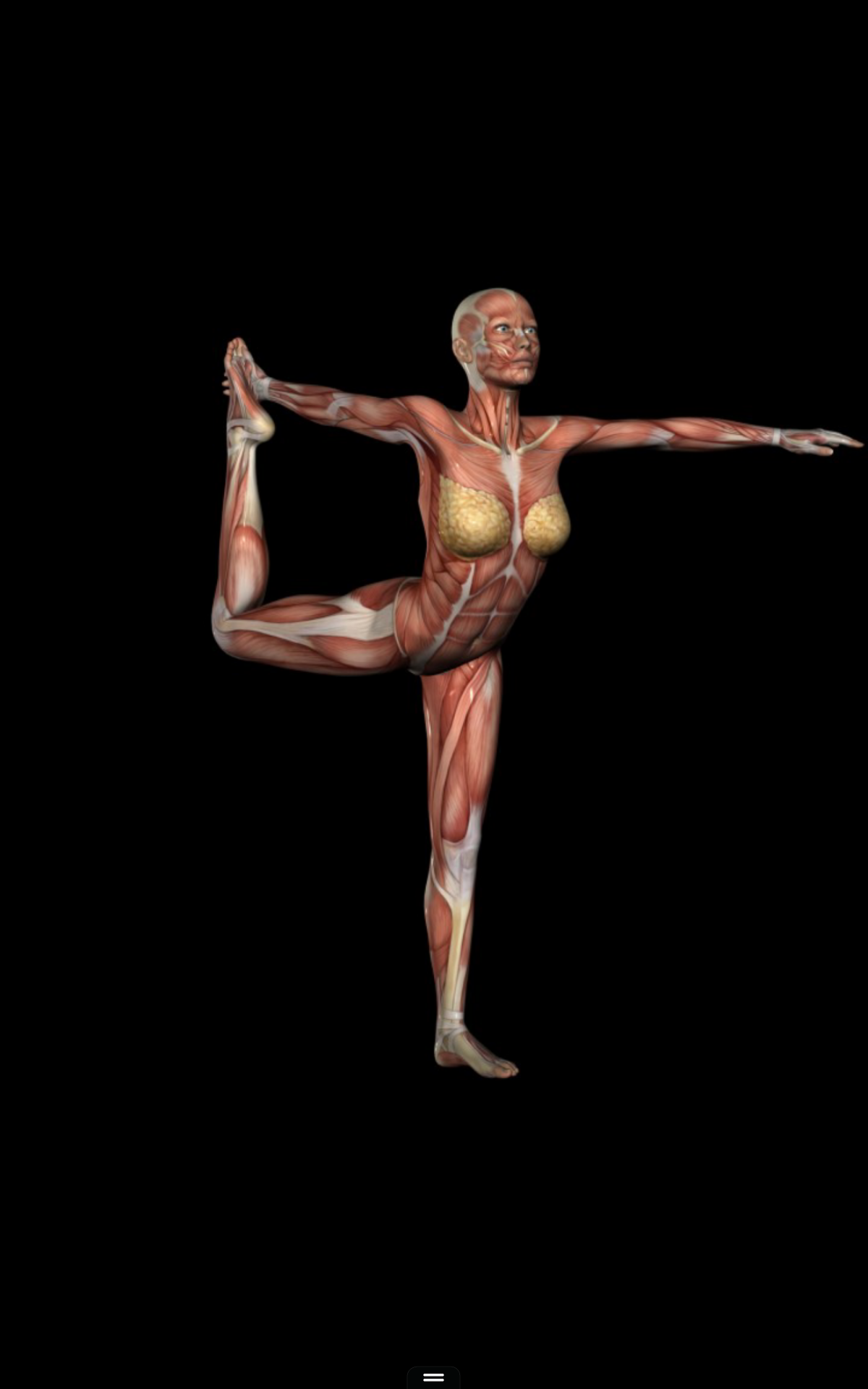 360° Anatomy for Artists: Female Yoga - App on Amazon Appstore