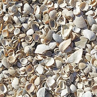 Natural Broken Shell Aquarium Gravel 7 Pounds